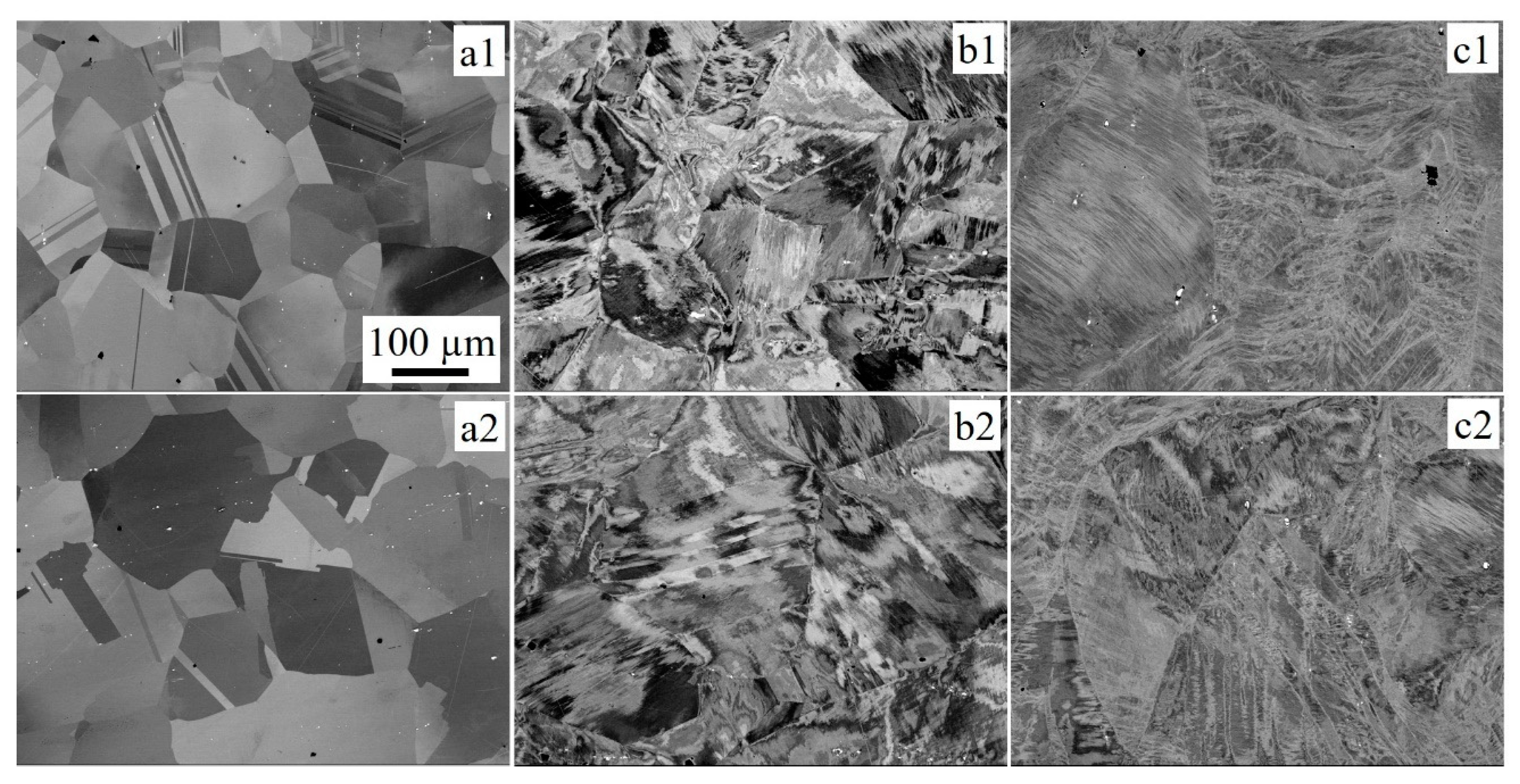 Metals 14 00455 g005