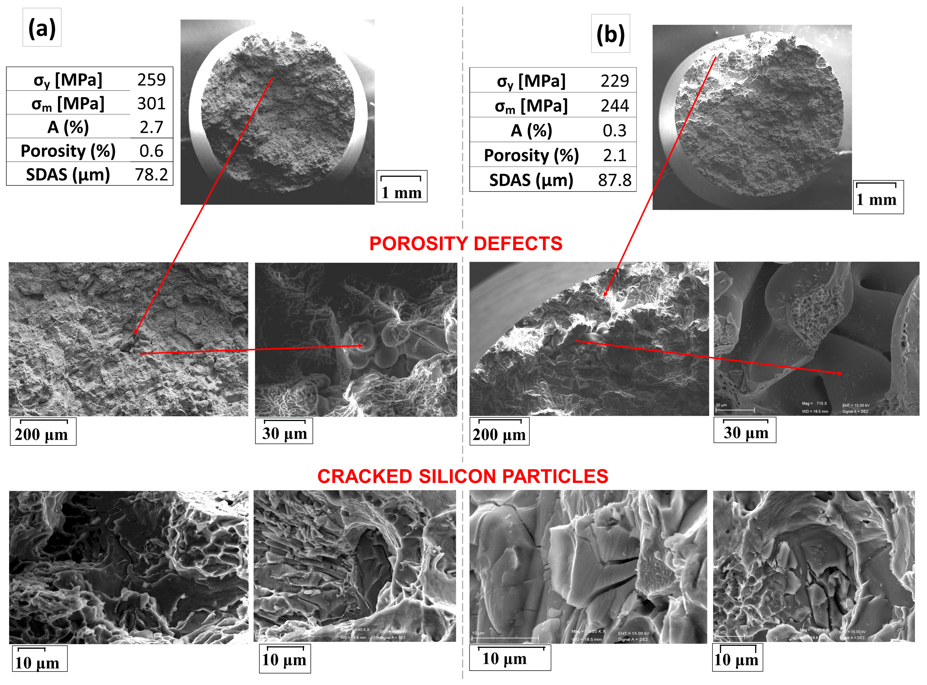 Metals 14 00459 g010
