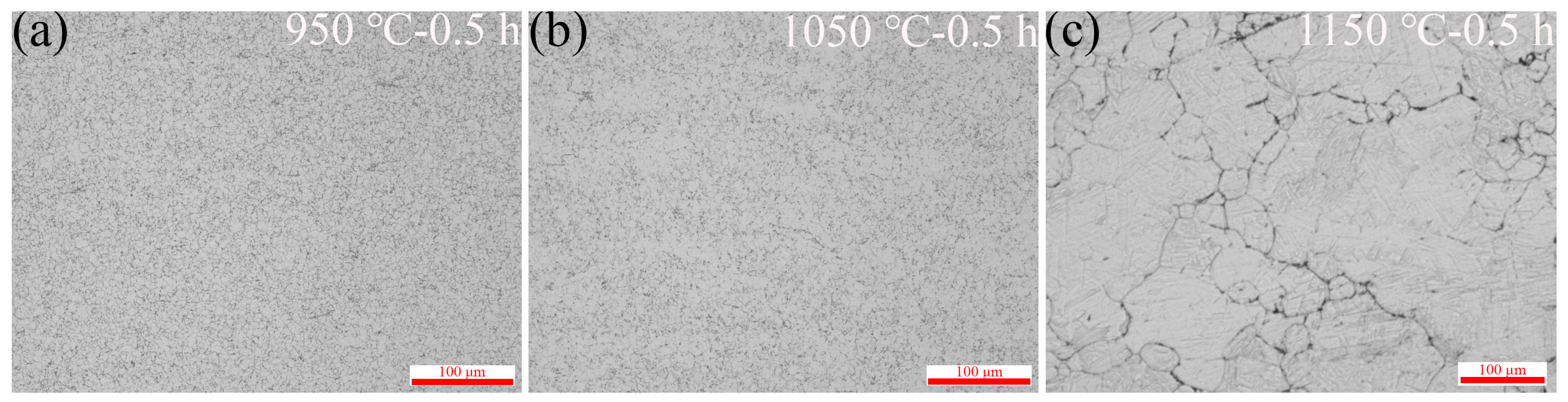 Metals 14 00469 g005