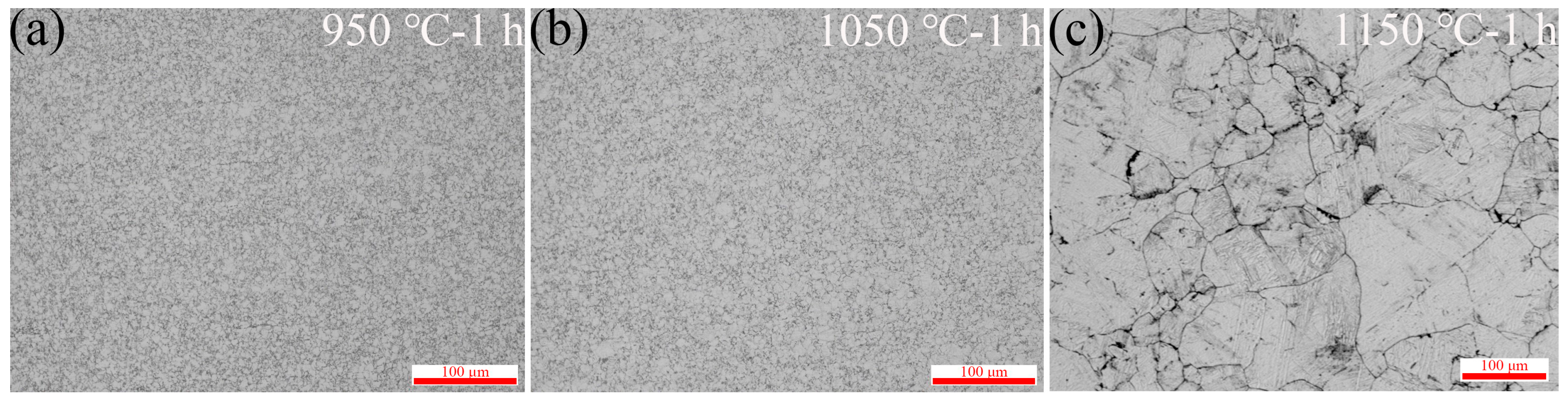 Metals 14 00469 g006