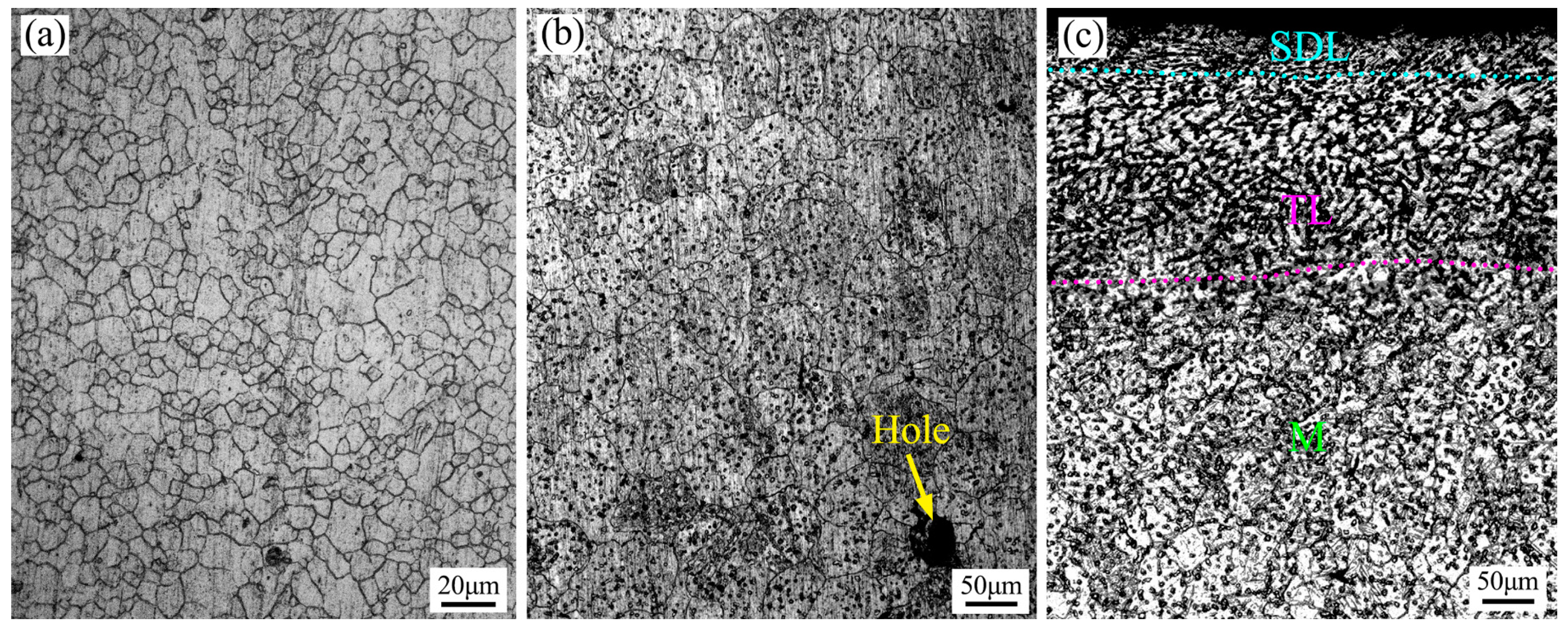 Metals 14 00470 g006
