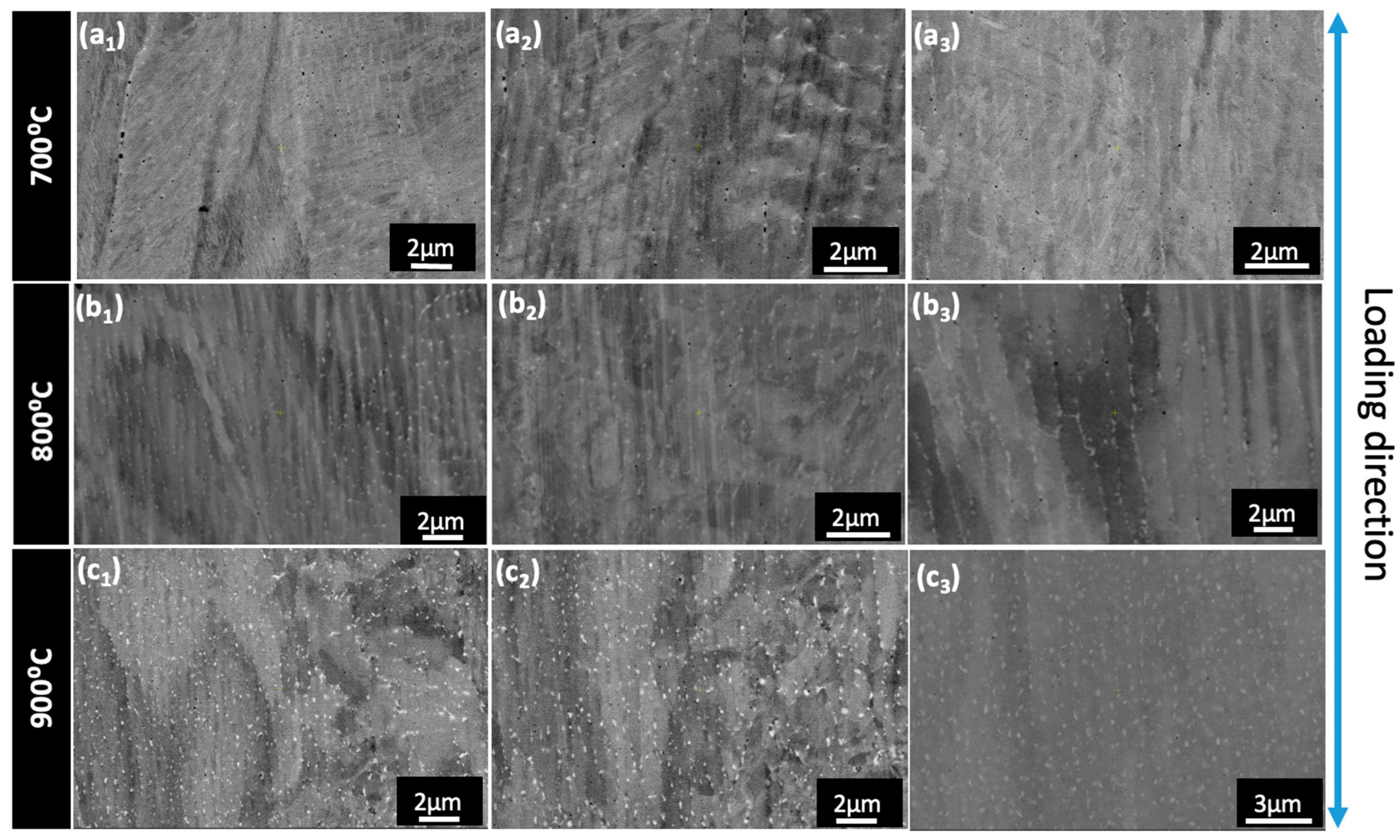 Metals 14 00500 g010