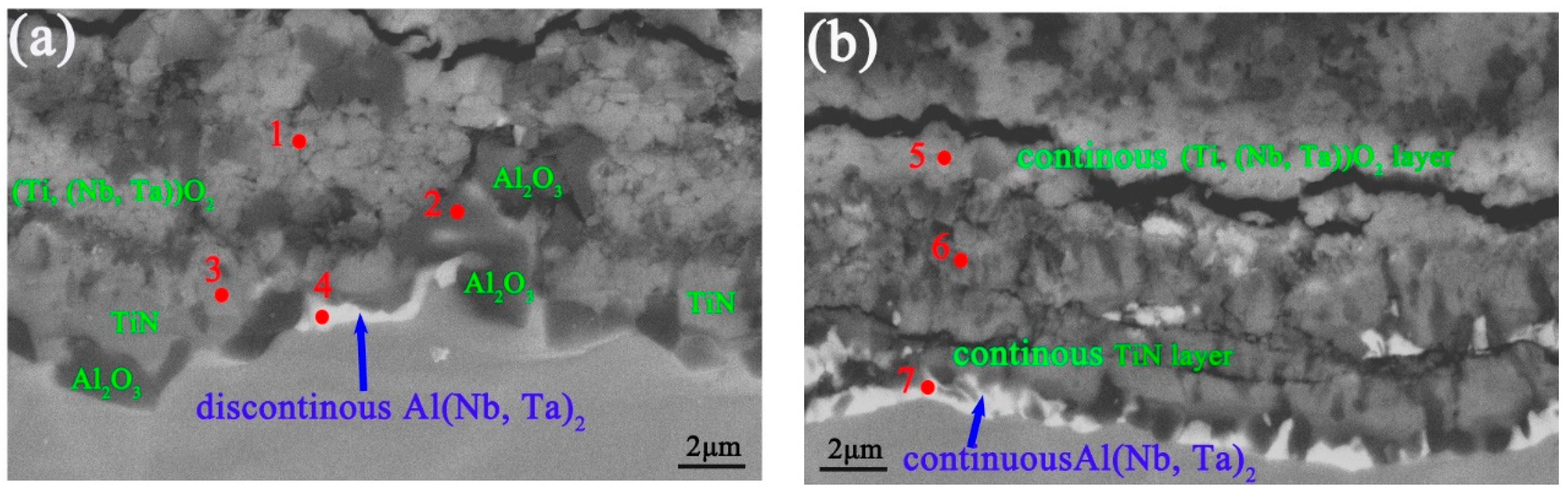 Metals 14 00521 g010