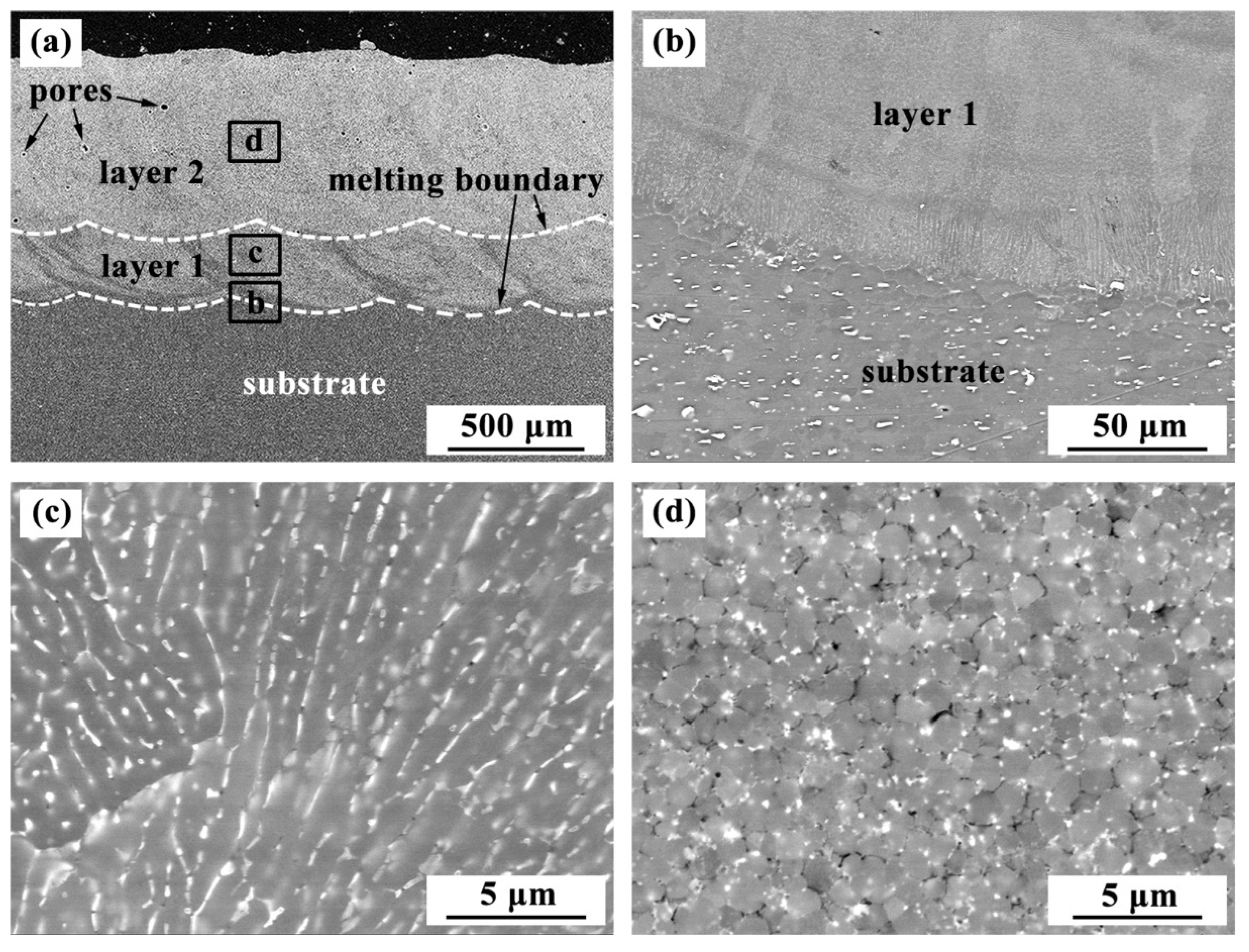 Metals 14 00525 g004