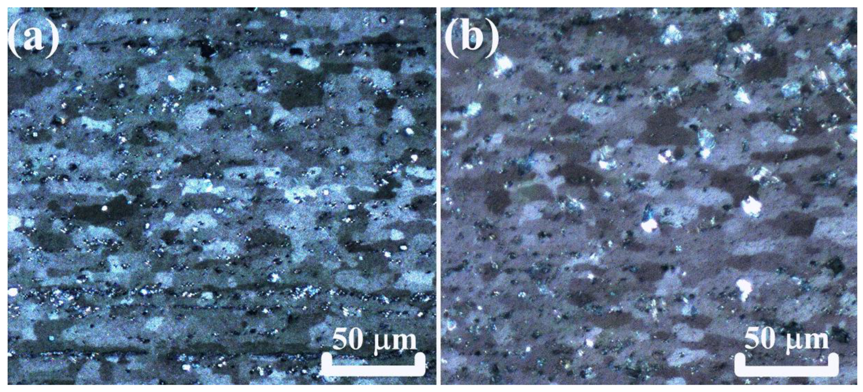 Metals 14 00547 g010