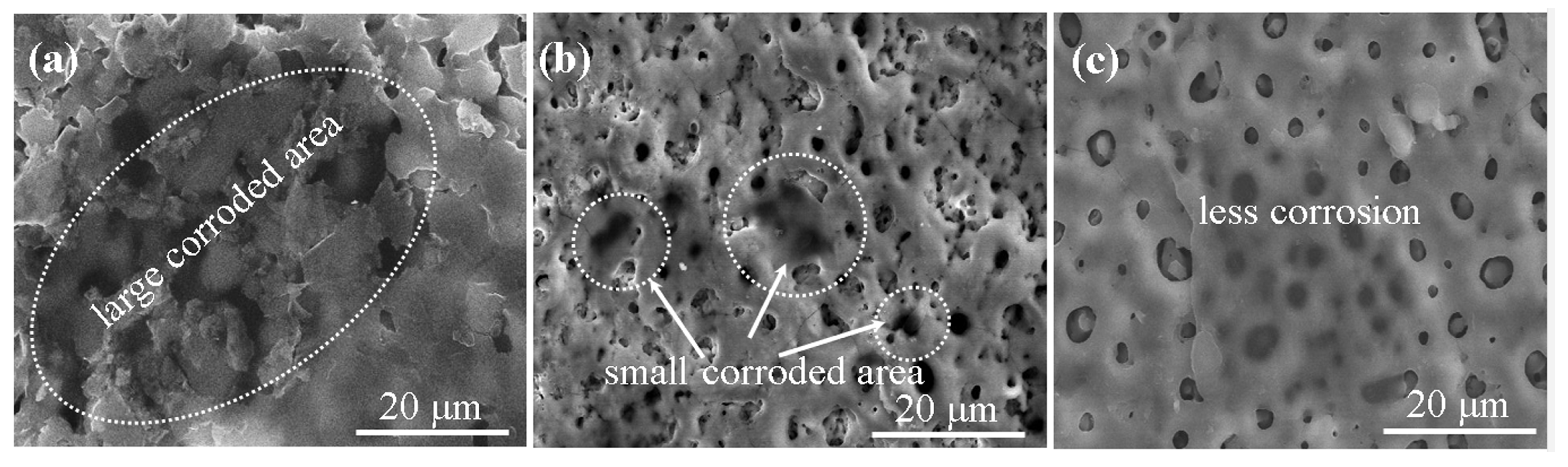 Metals 14 00606 g007