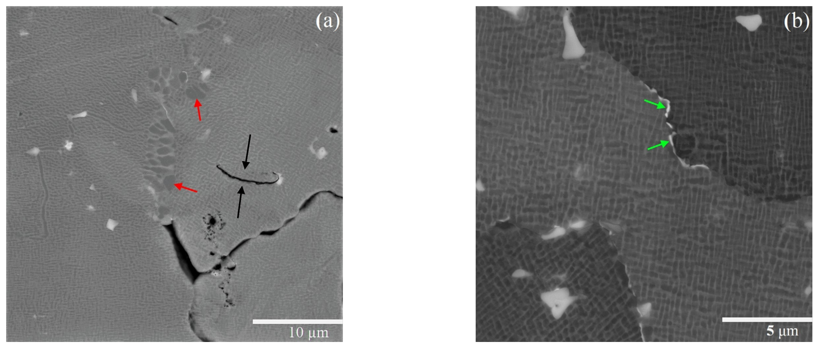 Metals 14 00610 g007