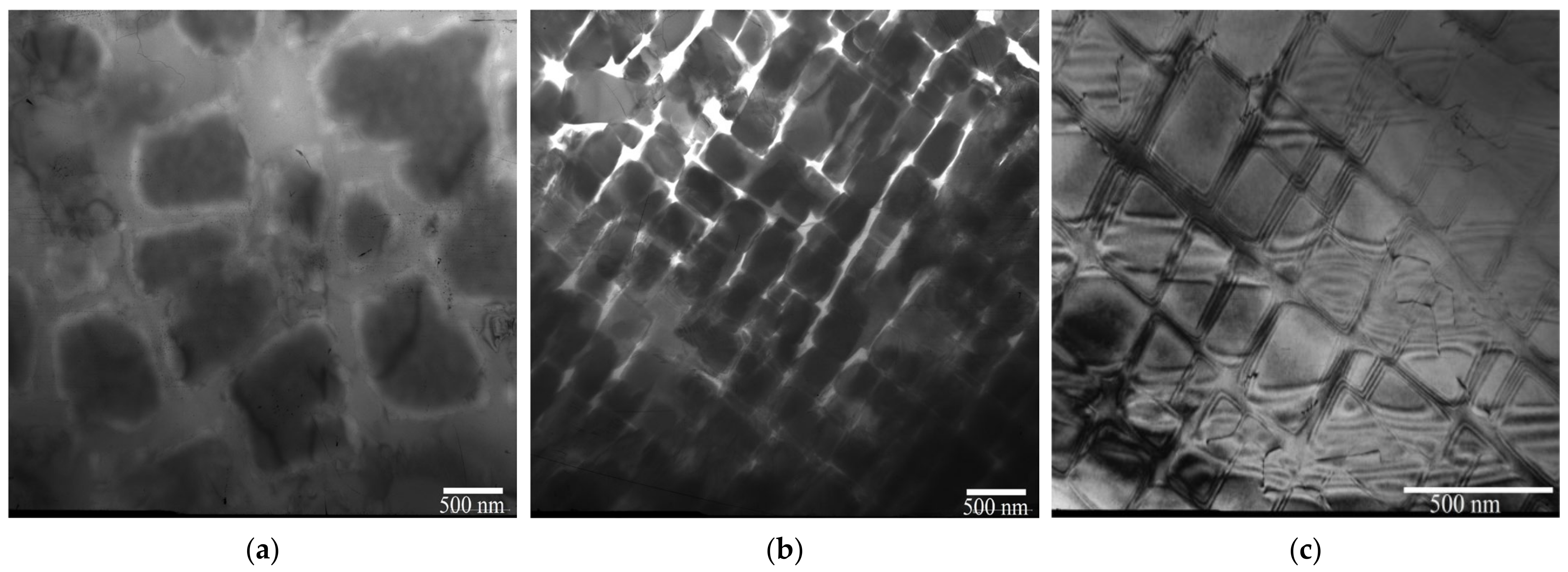 Metals 14 00610 g010