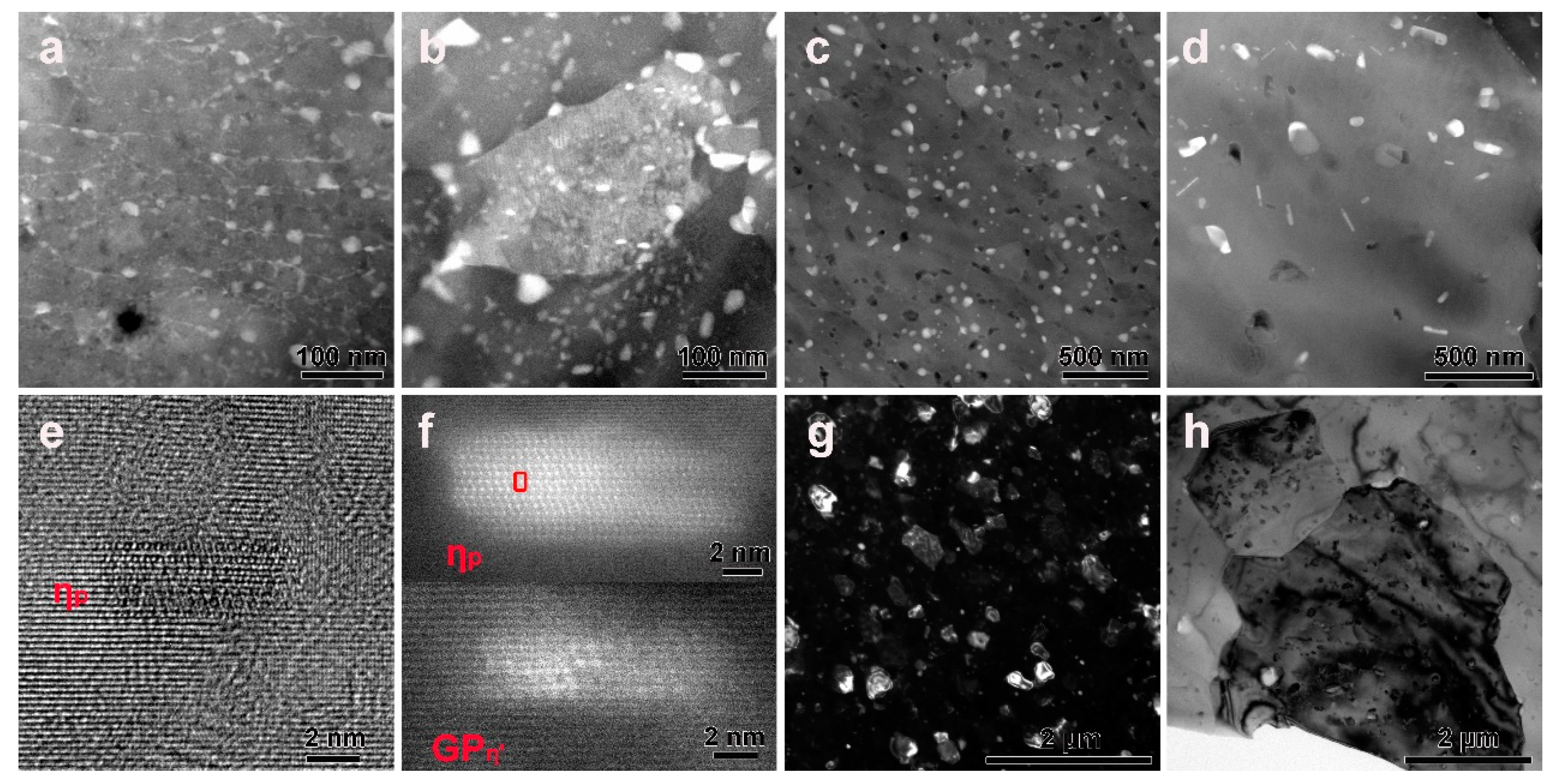 Metals 14 00625 g007