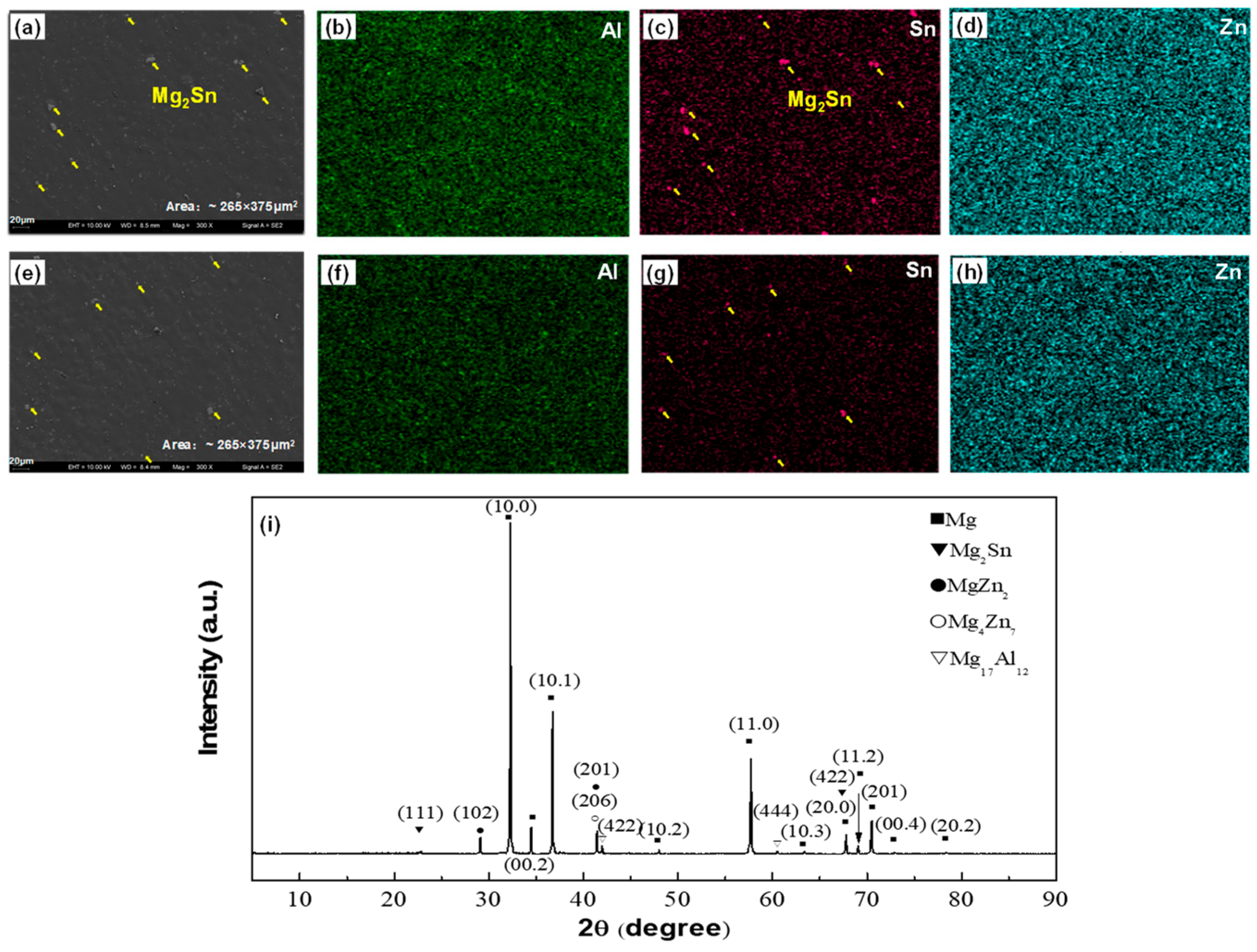 Metals 14 00635 g001
