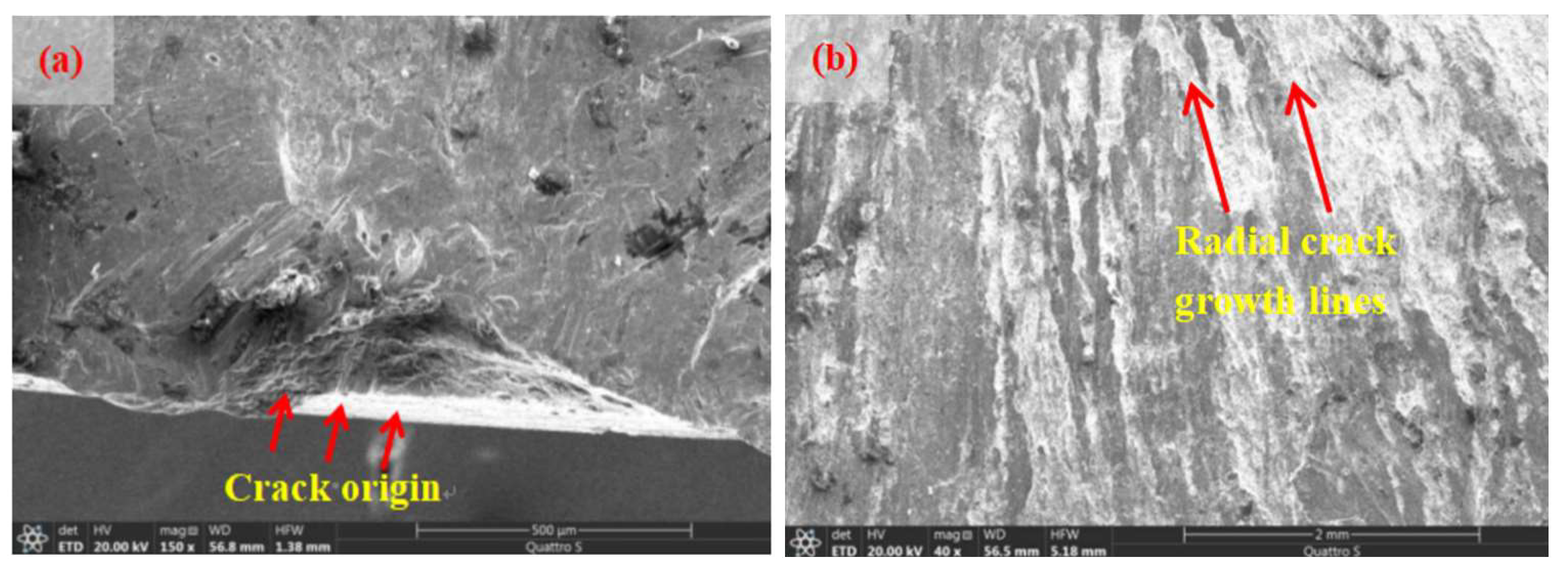 Metals 14 00641 g007a