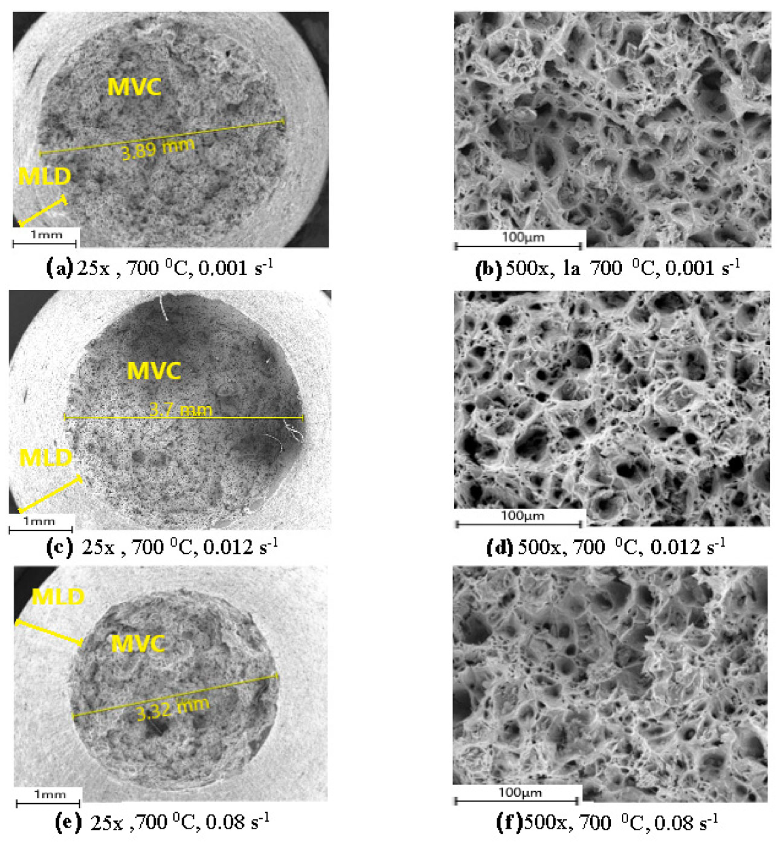 Metals 14 00647 g020 Metals 14 00647 g020