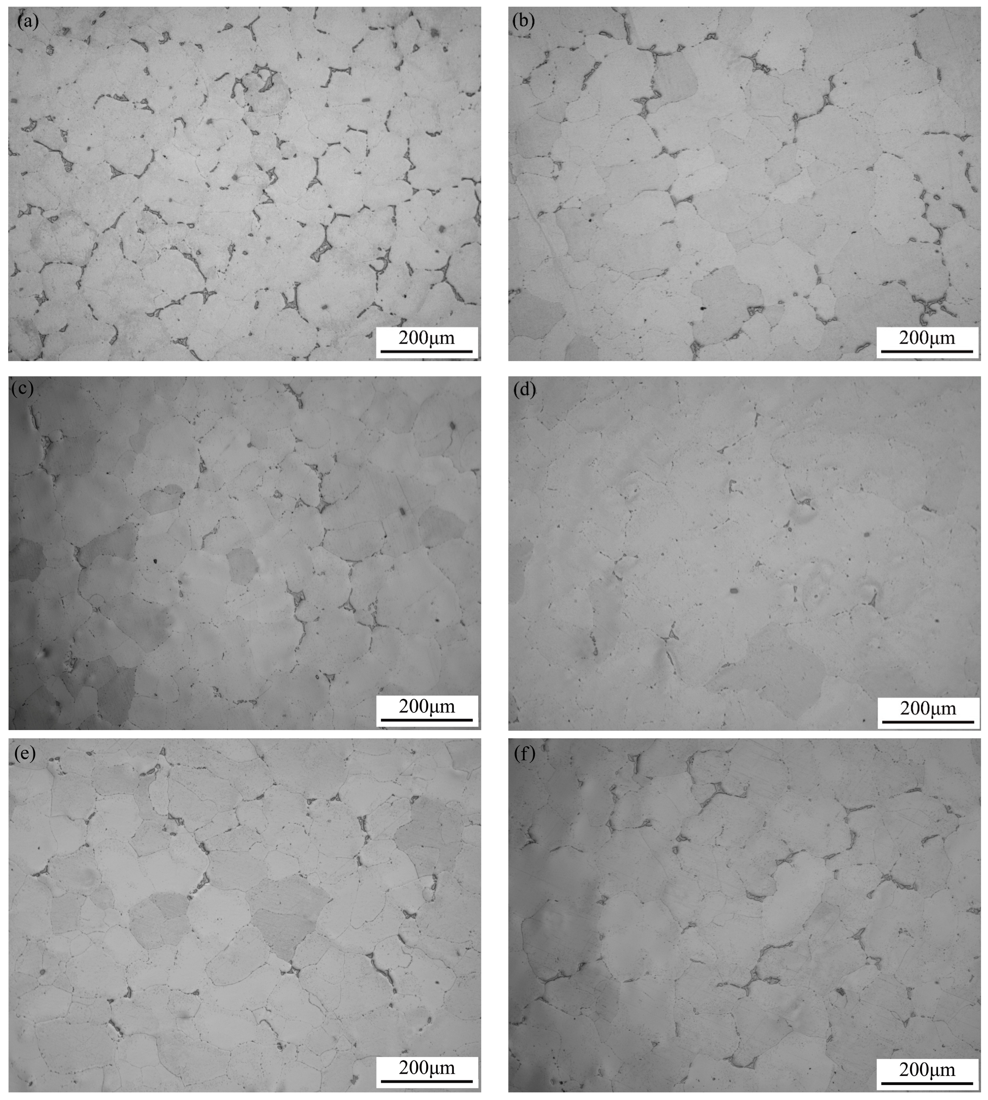 Metals 14 00648 g005