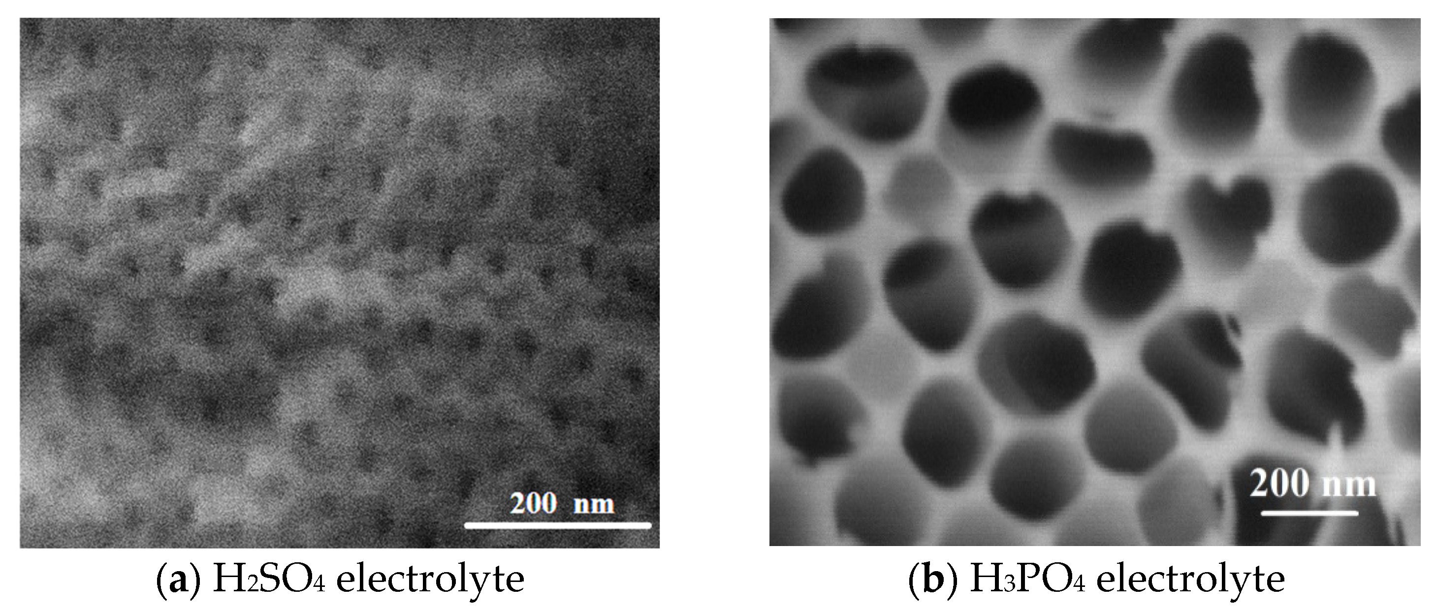 Metals 14 00651 g002