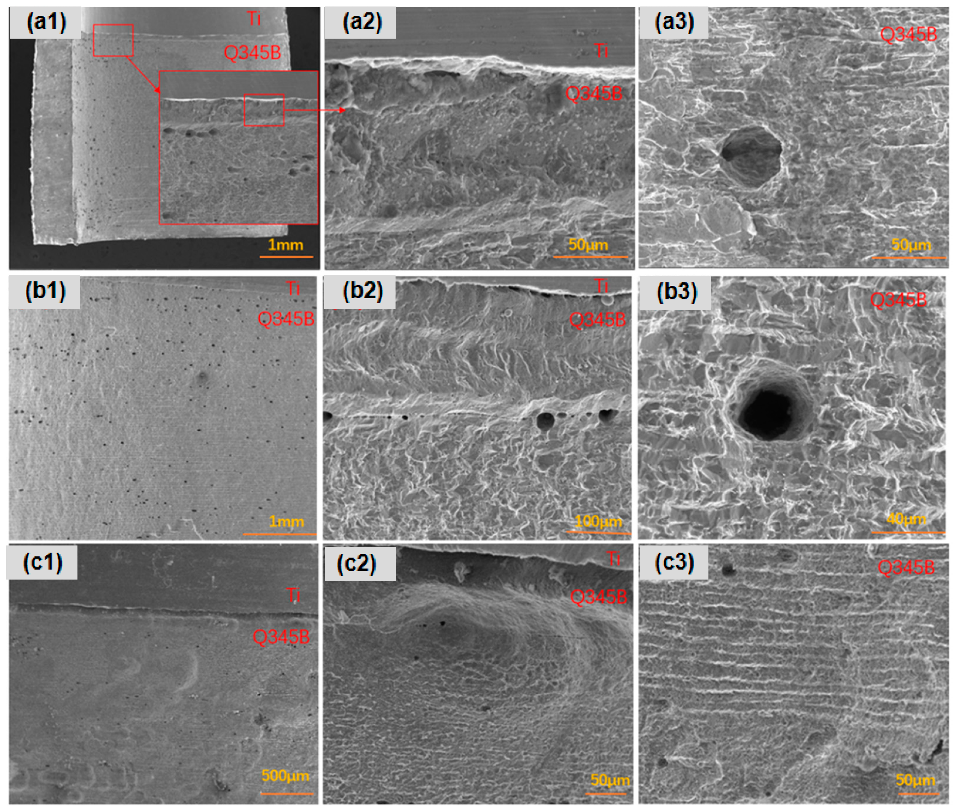 Metals 14 00652 g003