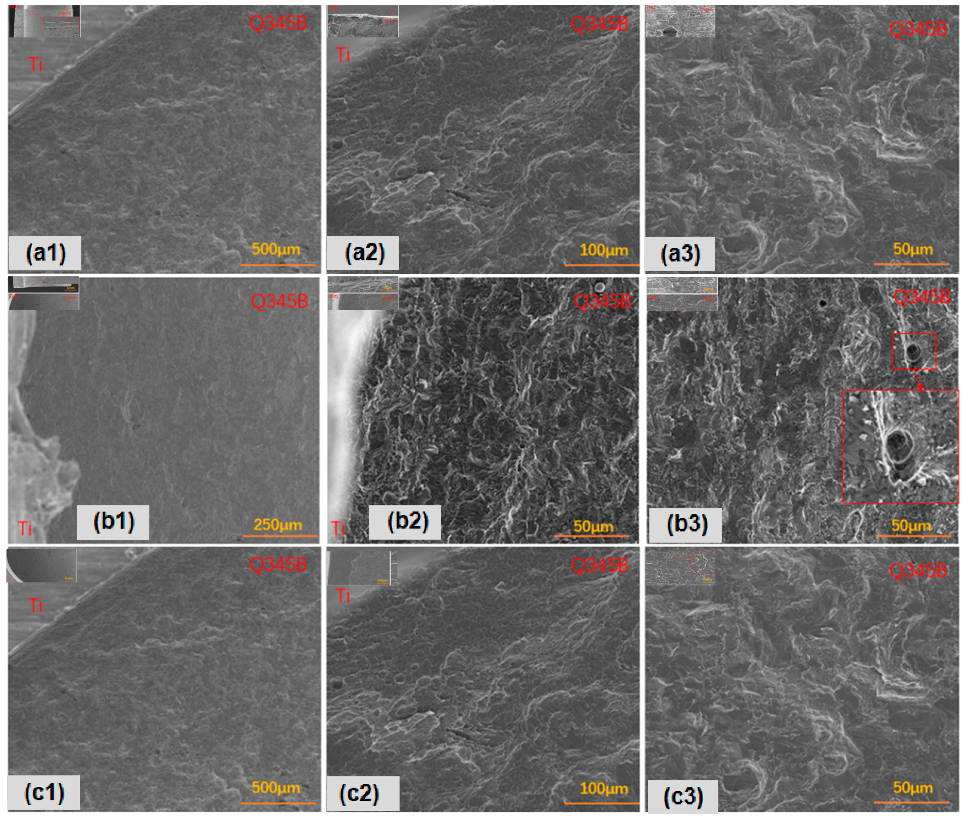 Metals 14 00652 g004