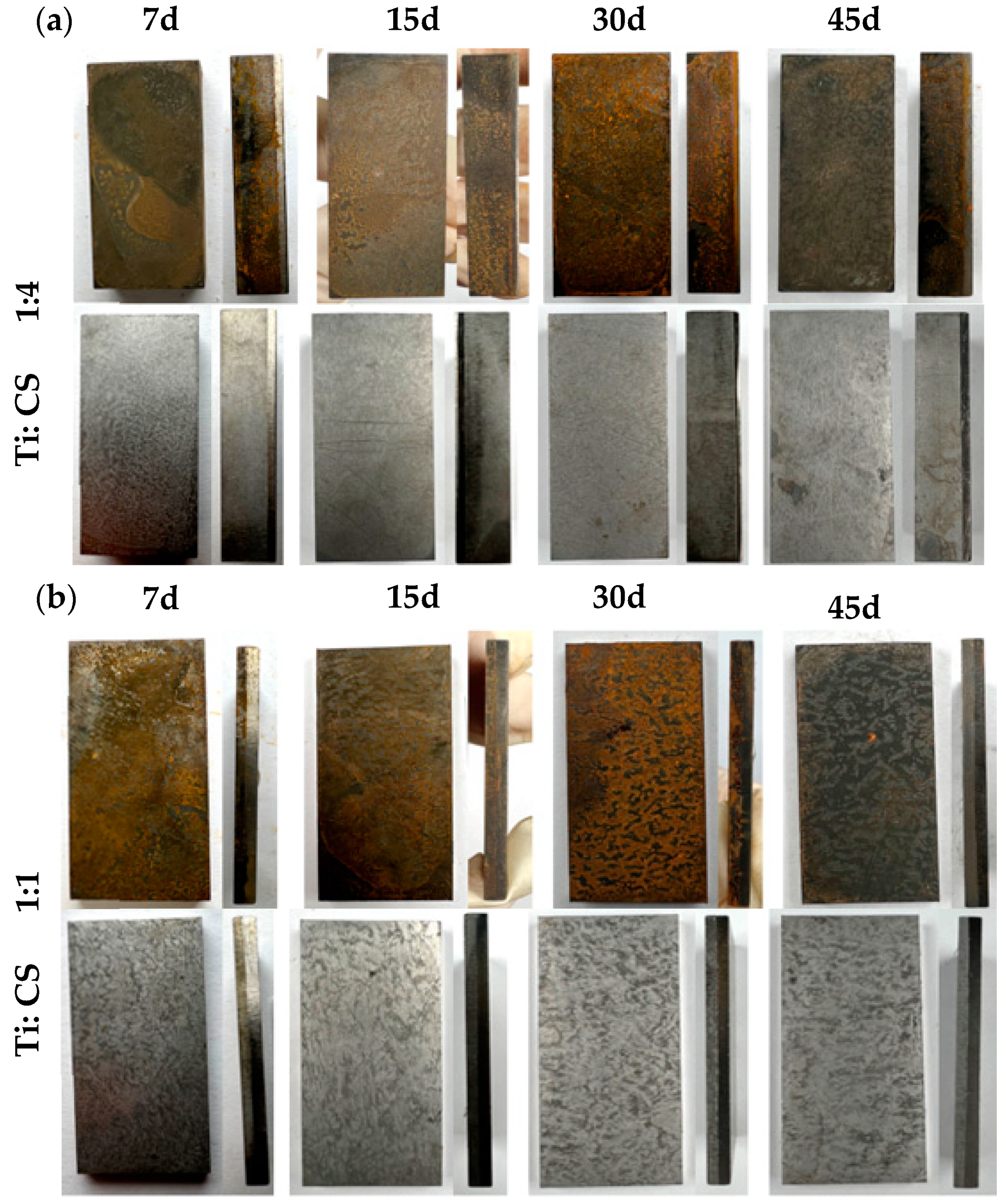 Metals 14 00652 g012