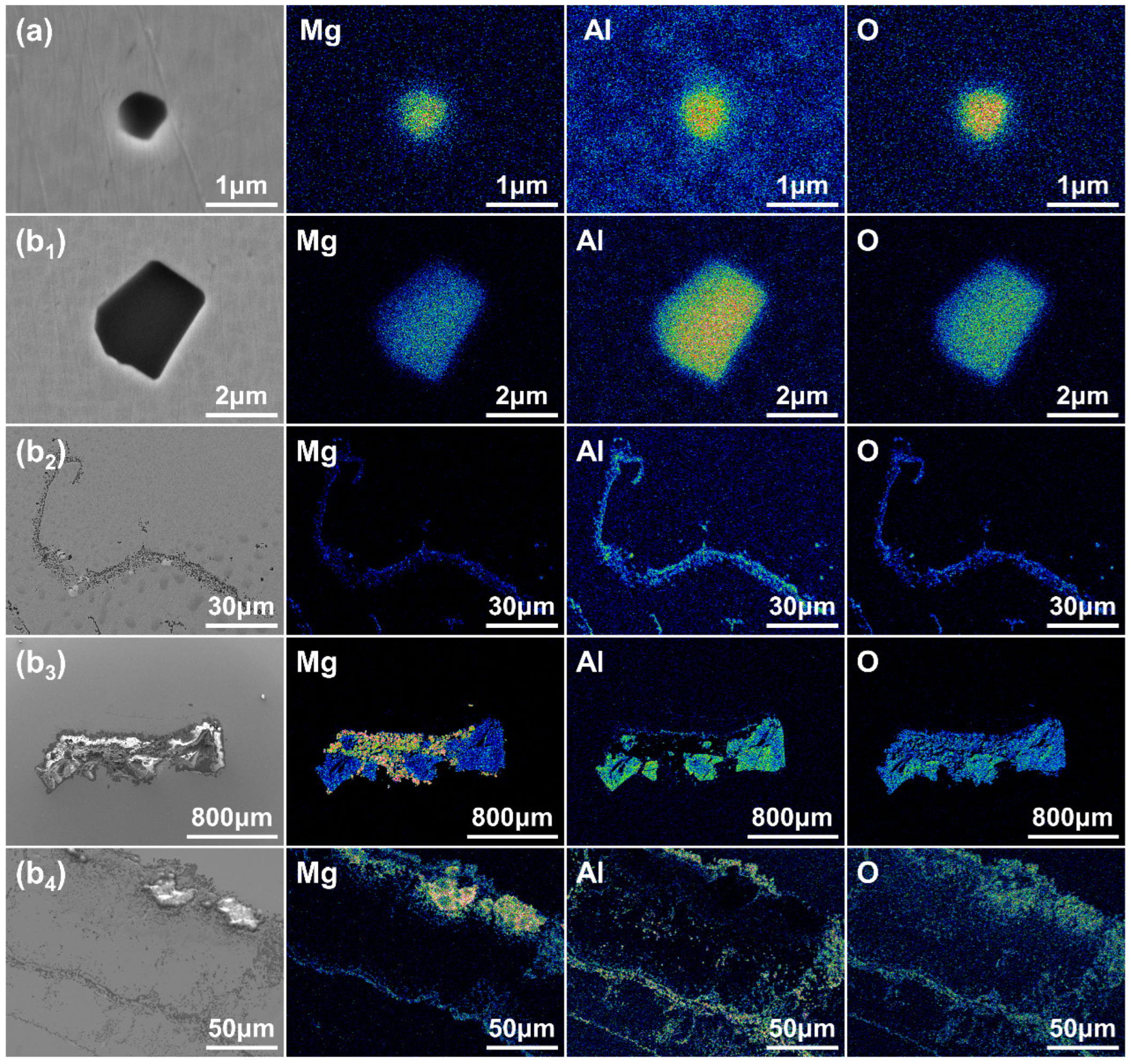Metals 14 00654 g002