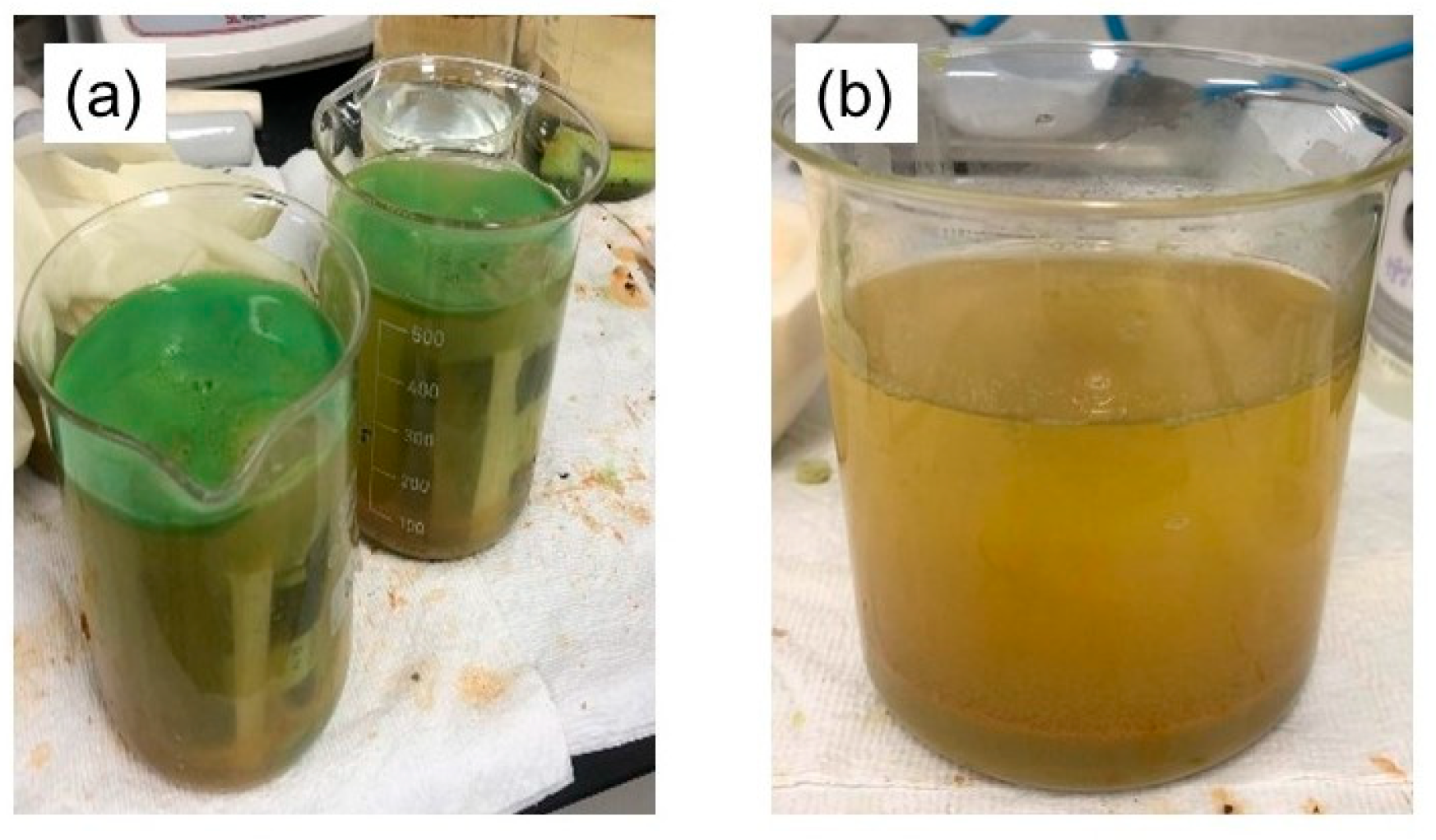 Metals 14 00657 g010