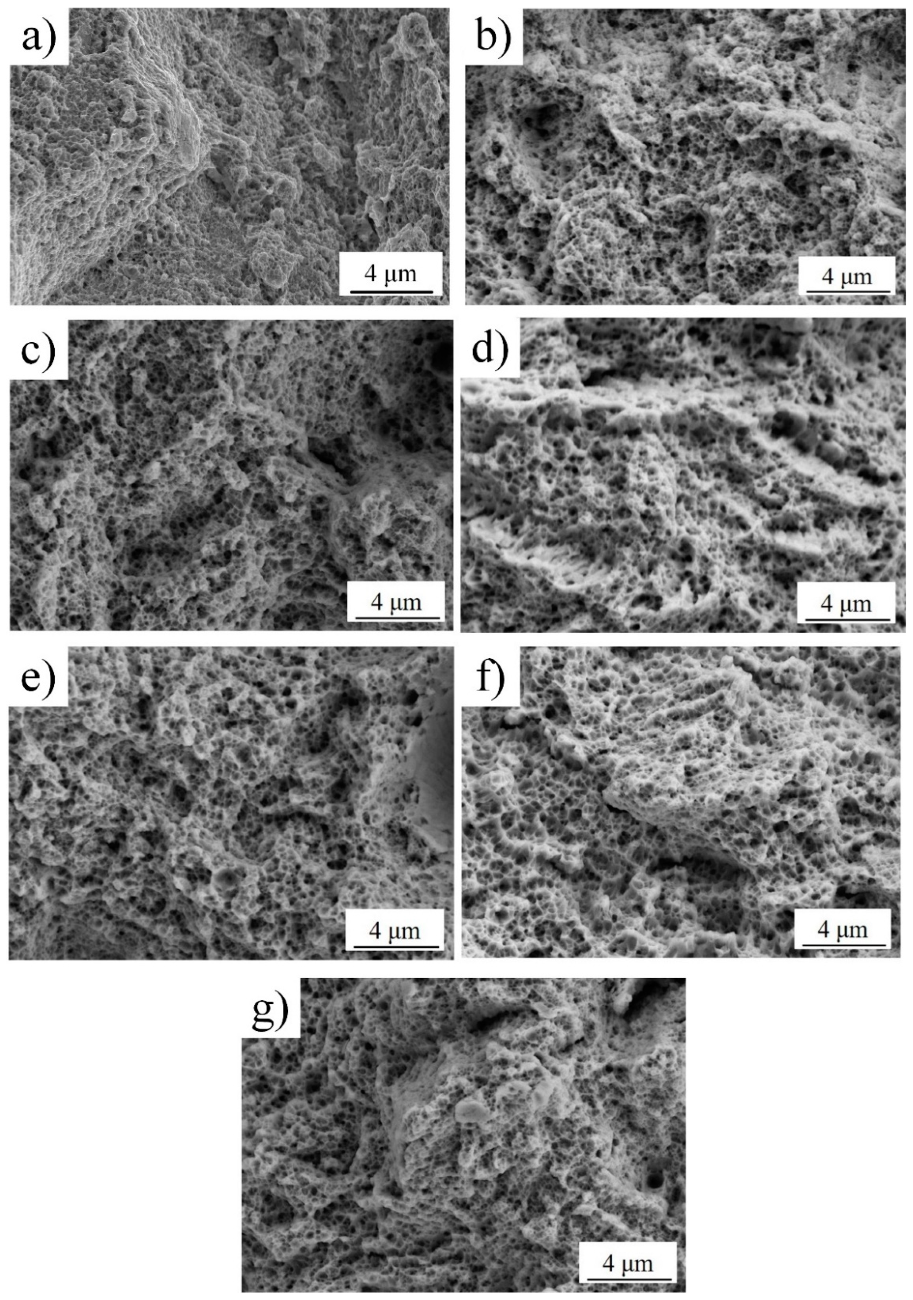 Metals 14 00660 g011