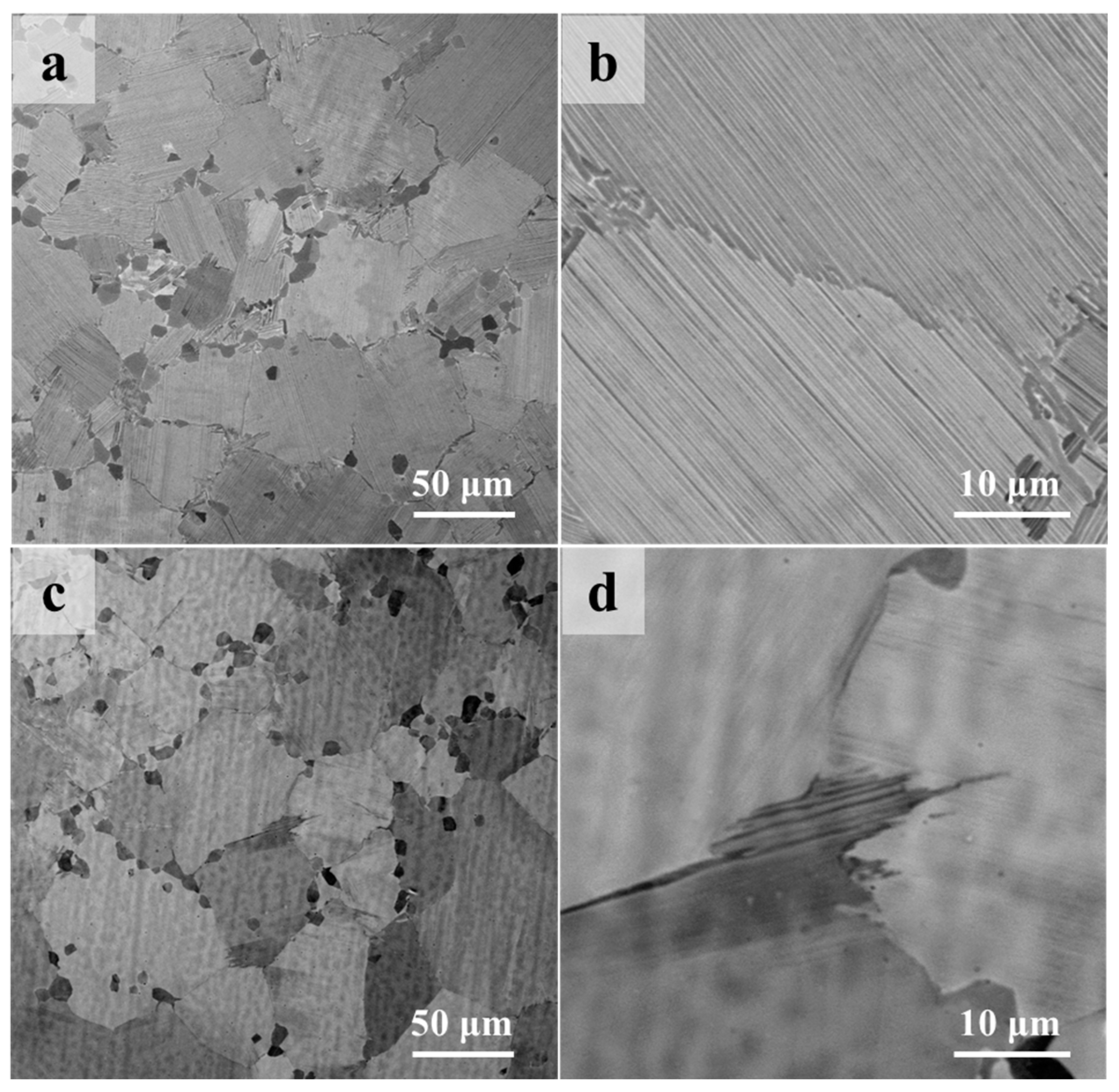 Metals 14 00661 g006