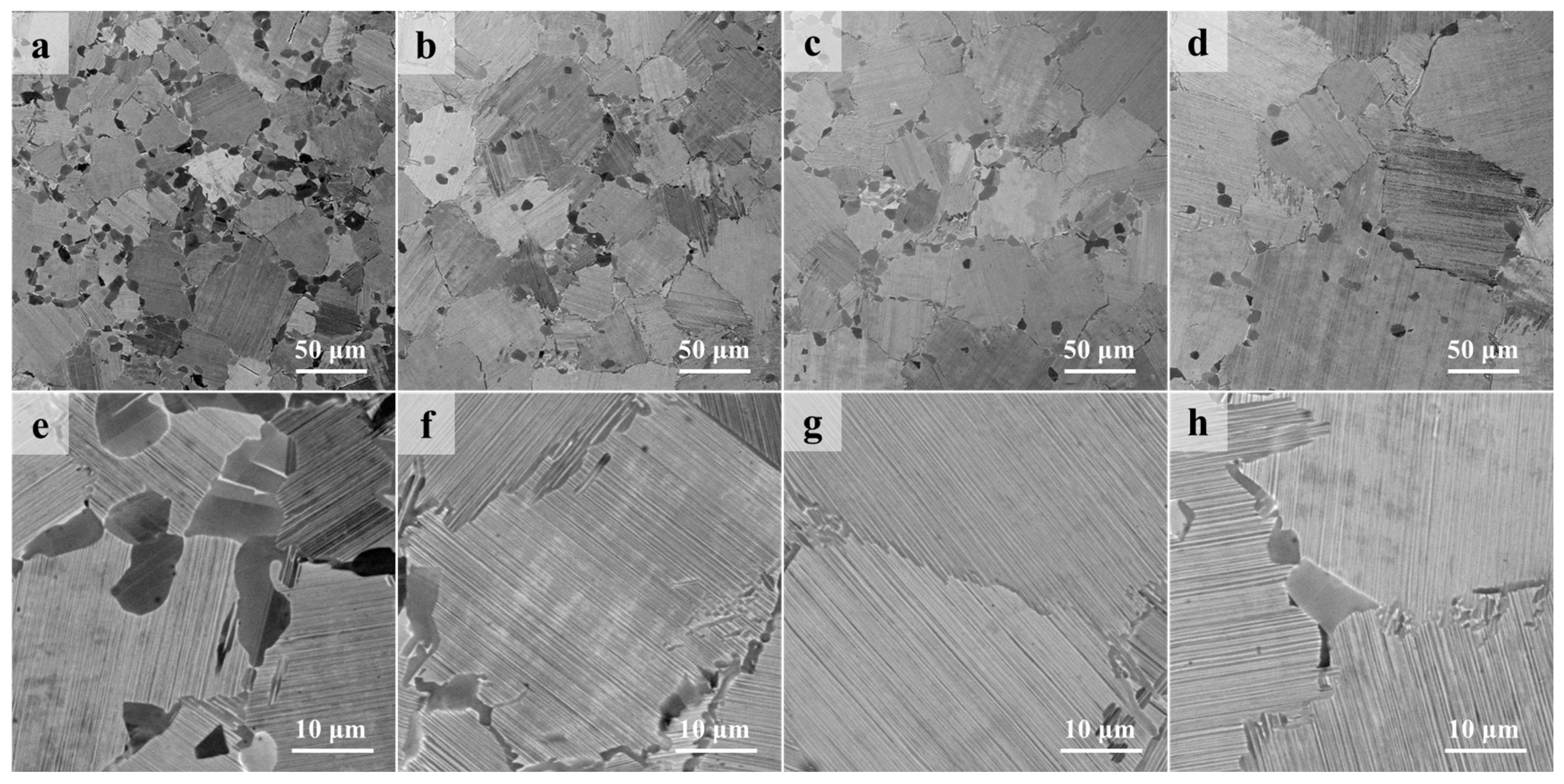 Metals 14 00661 g010