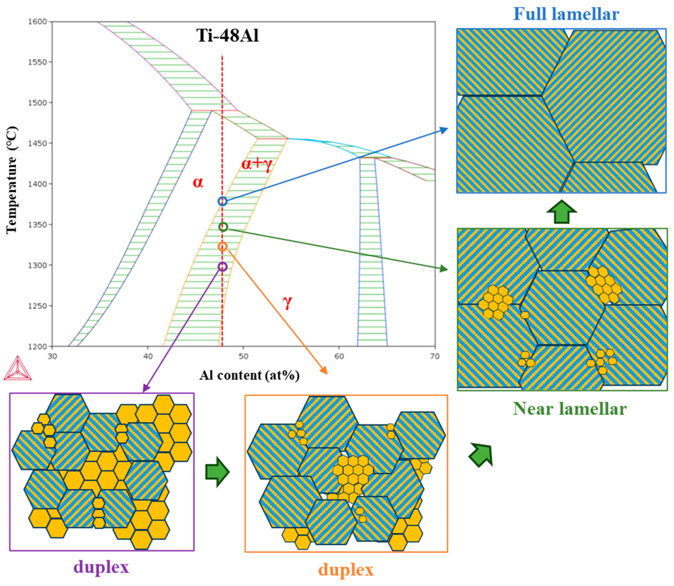 Metals 14 00661 g012