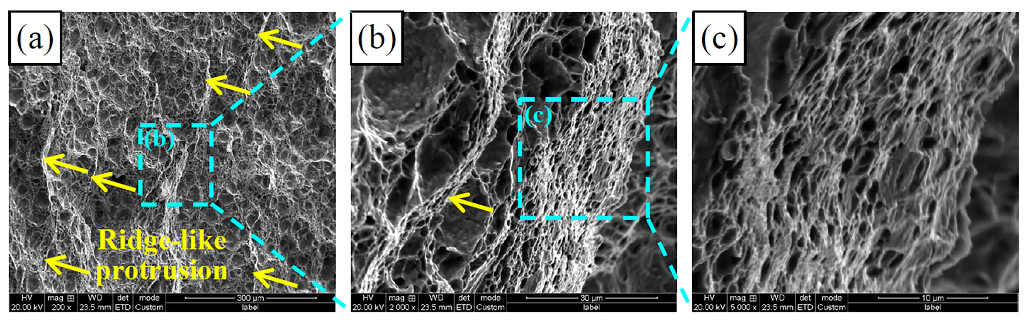 Metals 14 00666 g008