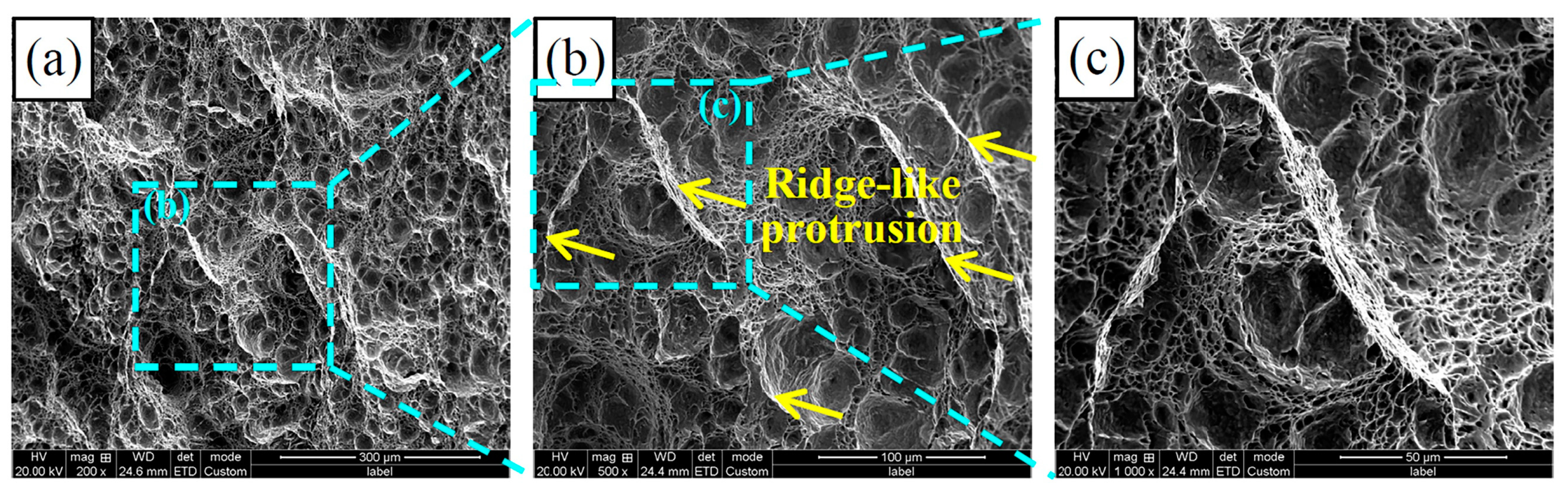 Metals 14 00666 g009