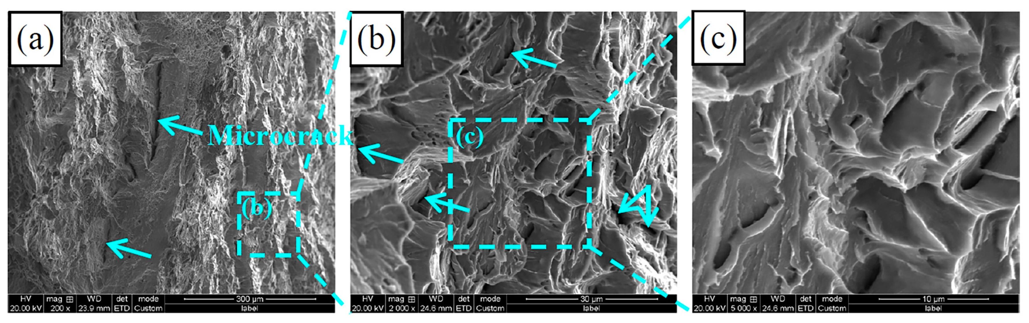 Metals 14 00666 g010