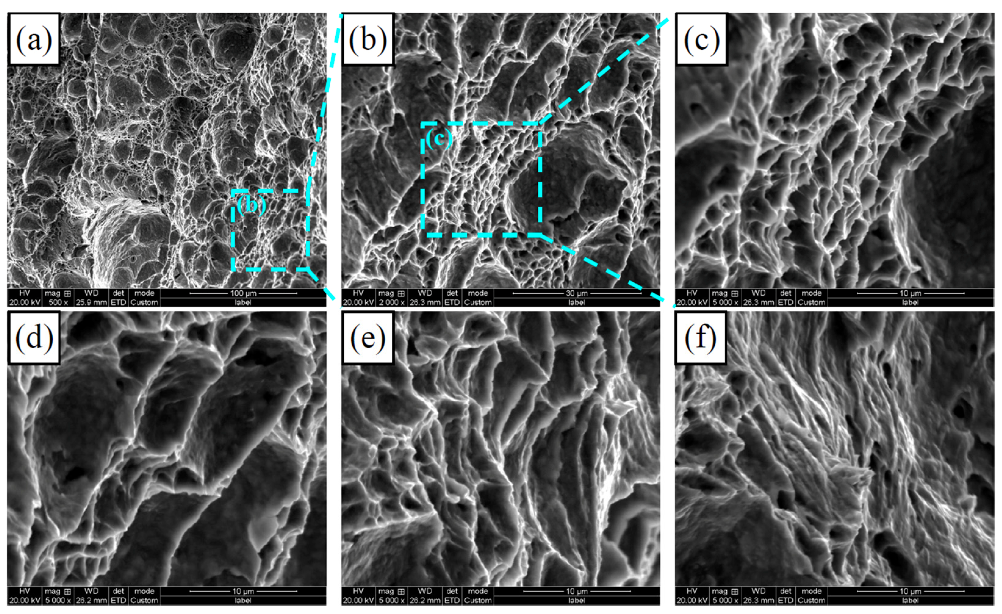 Metals 14 00666 g011