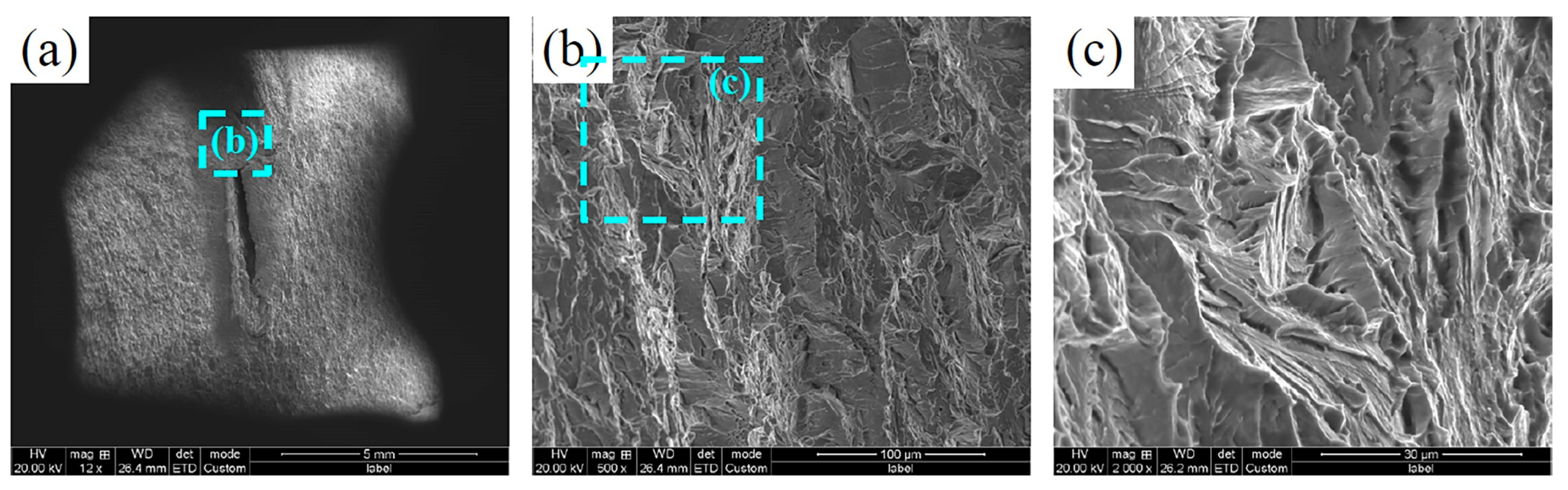 Metals 14 00666 g015