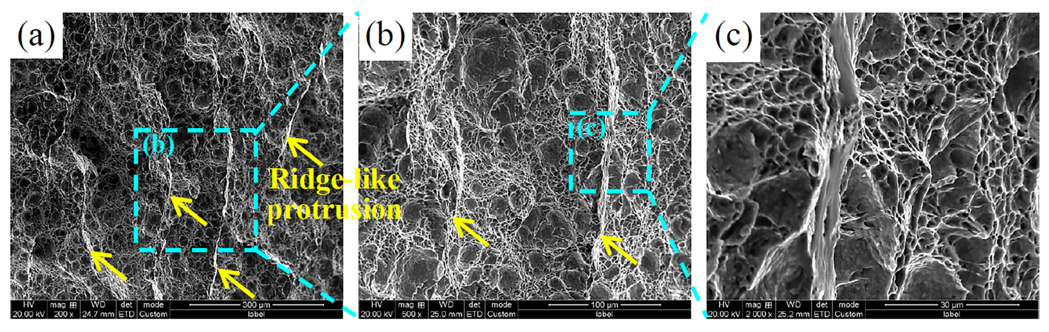 Metals 14 00666 g016