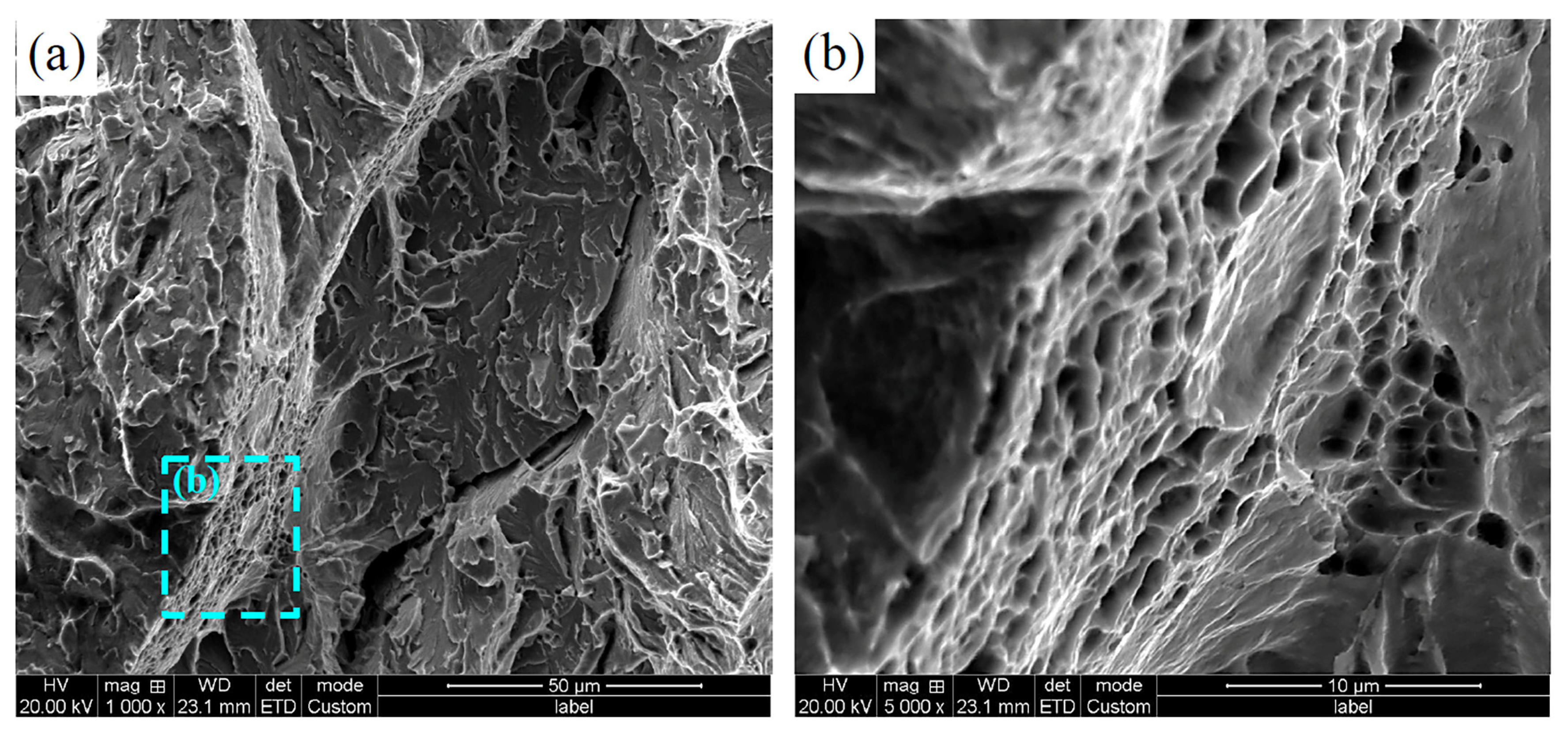 Metals 14 00666 g019