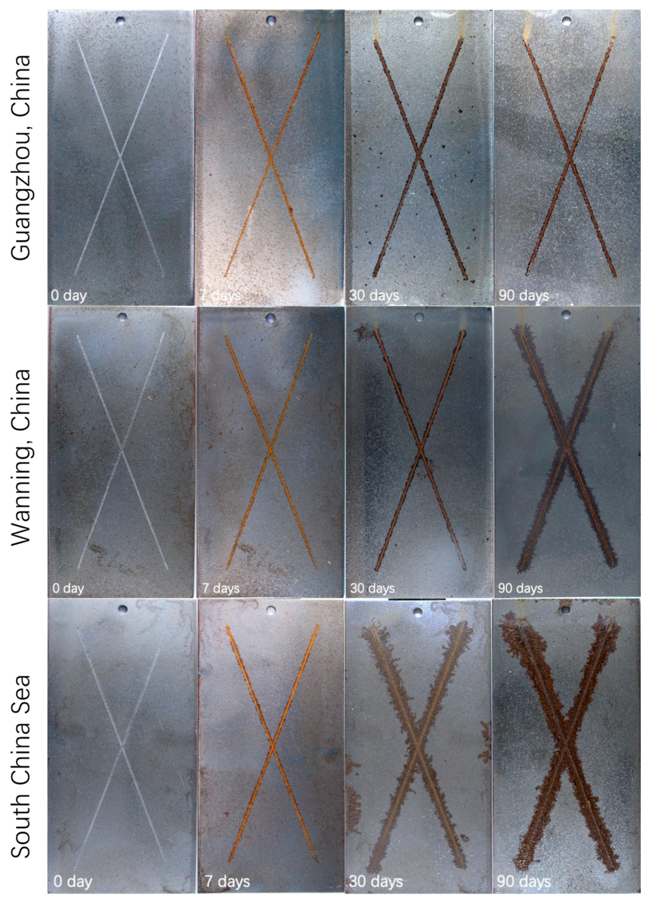 Metals 14 00674 g005