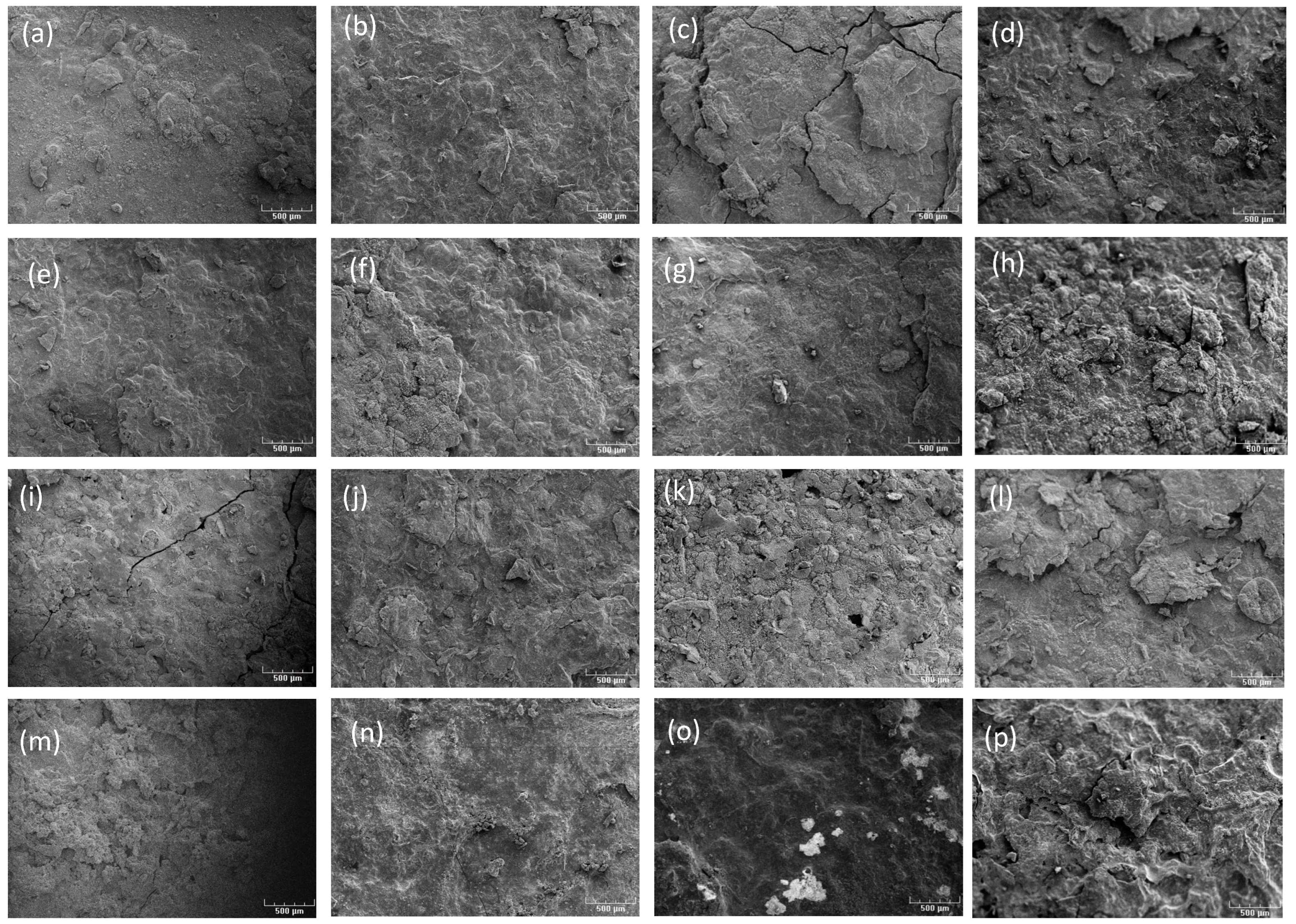 Metals 14 00676 g002