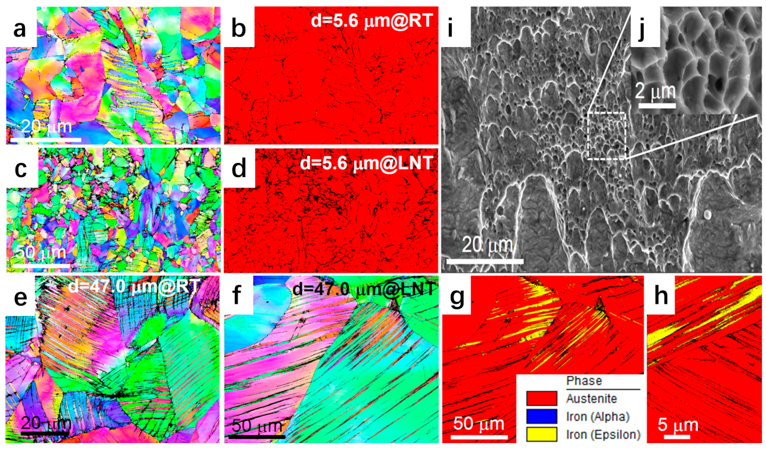 Metals 14 00677 g005