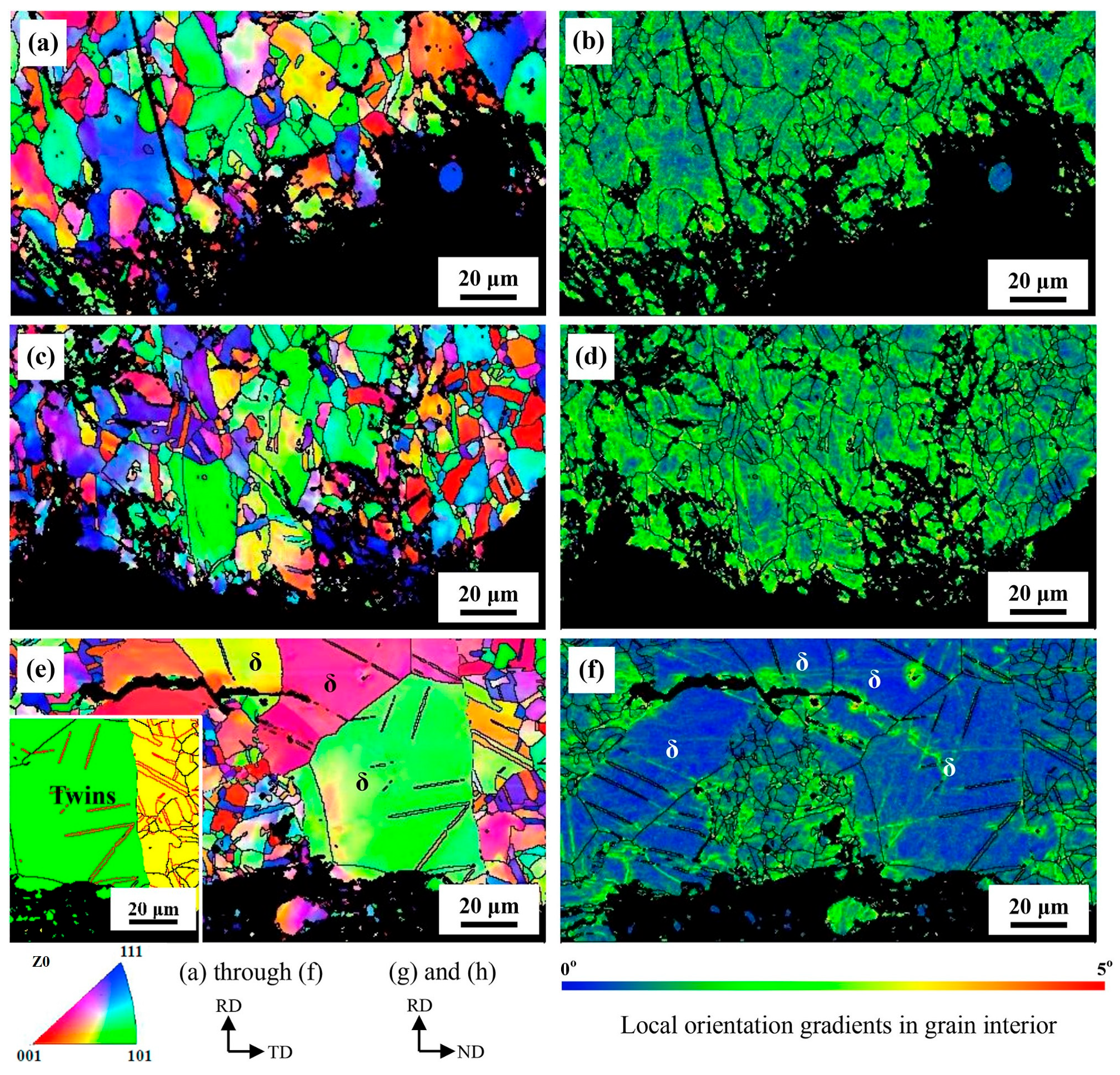 Metals 14 00677 g011
