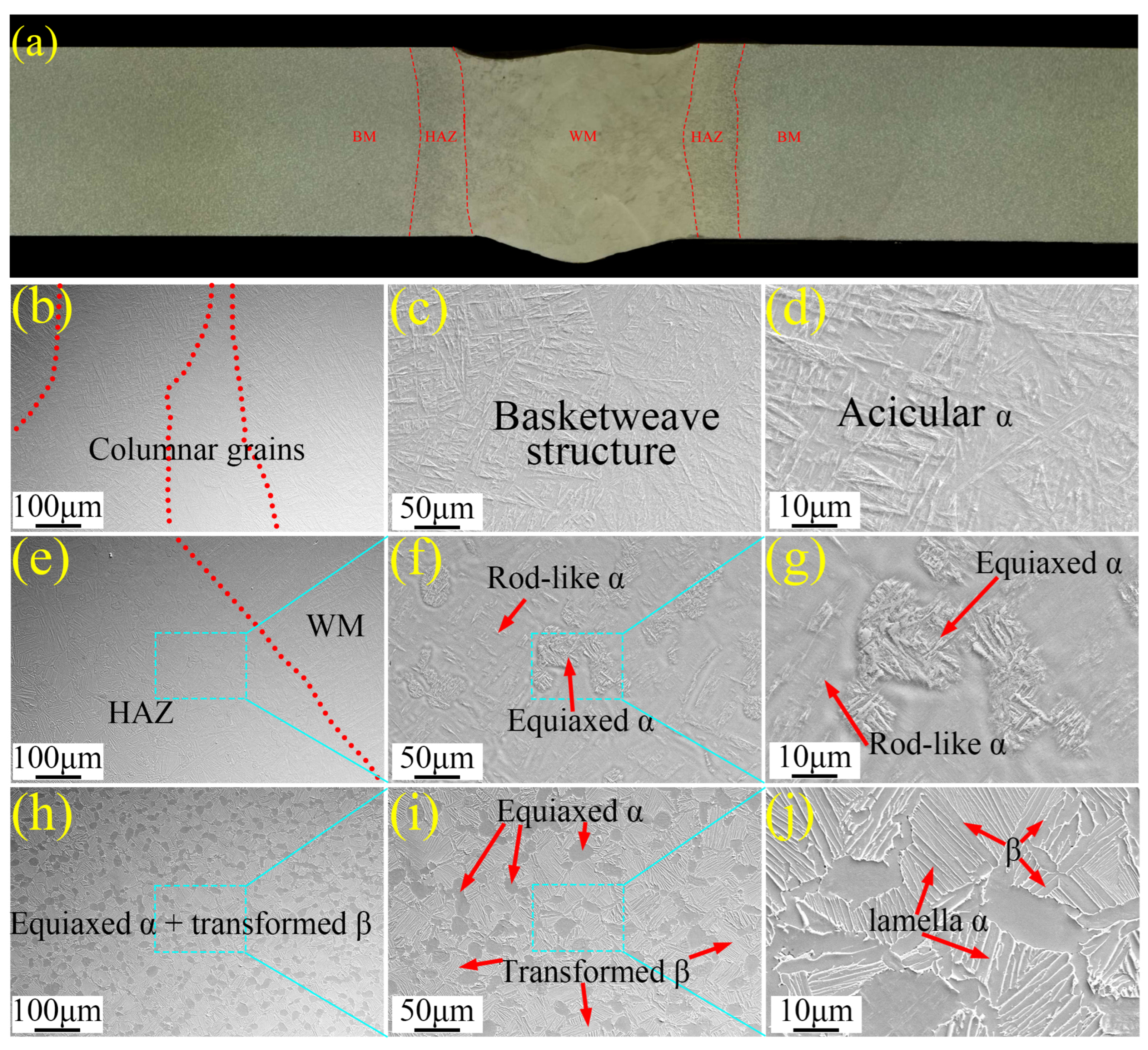 Metals 14 00690 g008