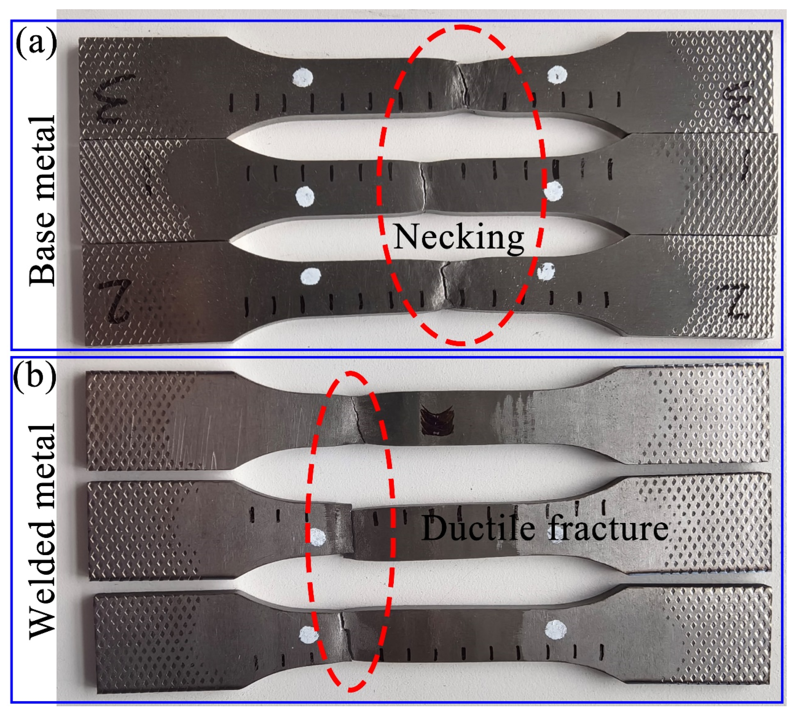 Metals 14 00690 g012