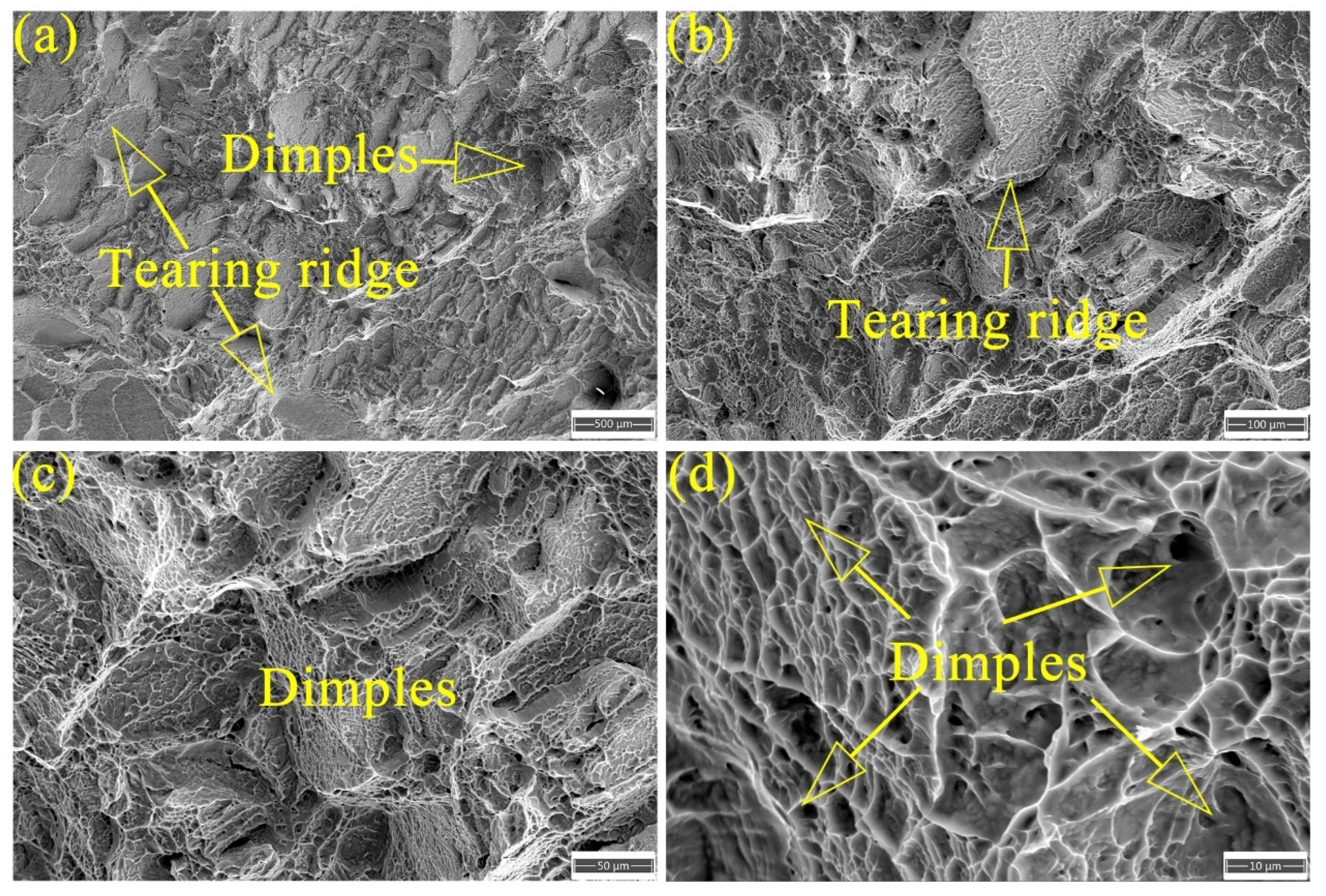 Metals 14 00690 g013