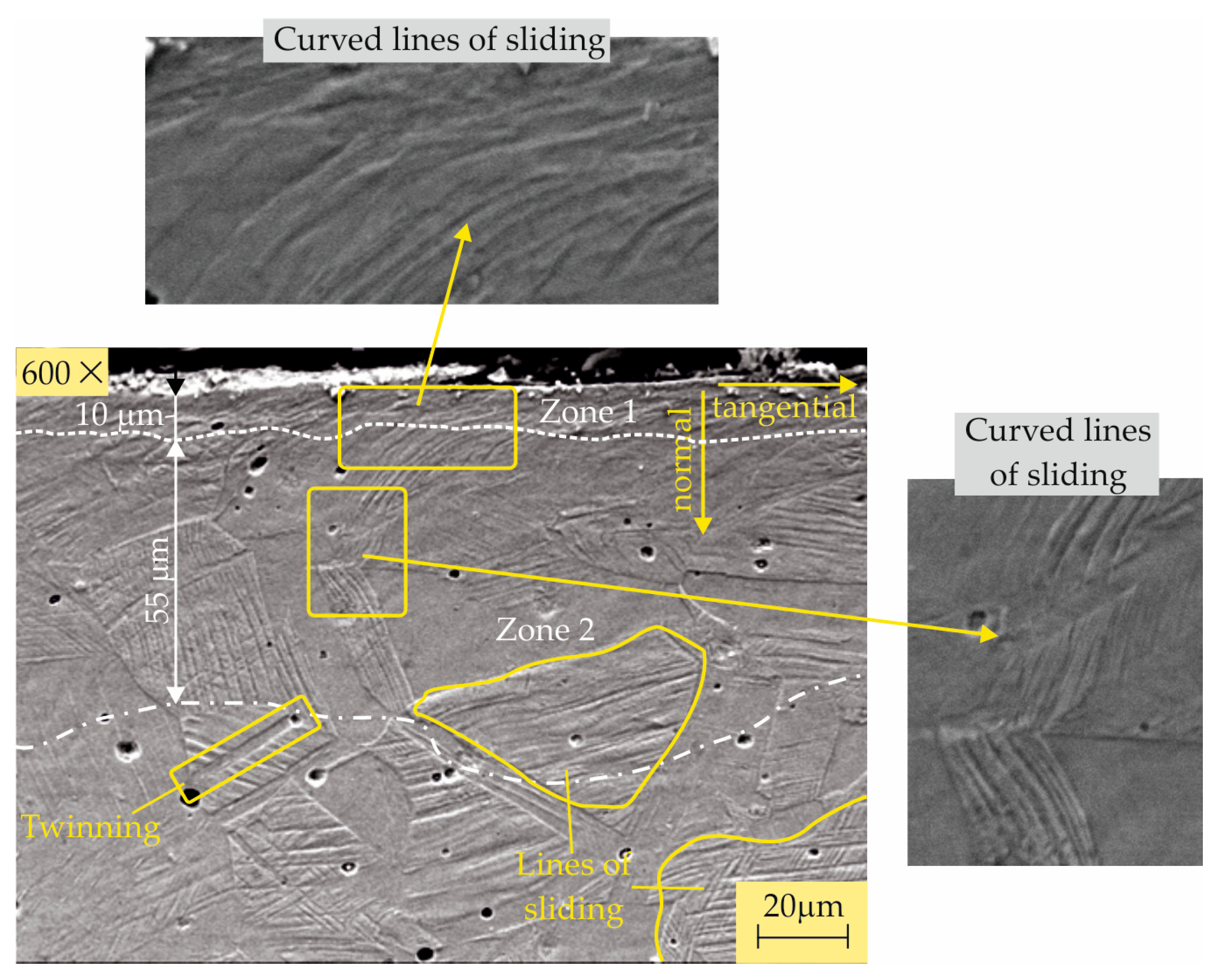 Metals 14 00710 g010