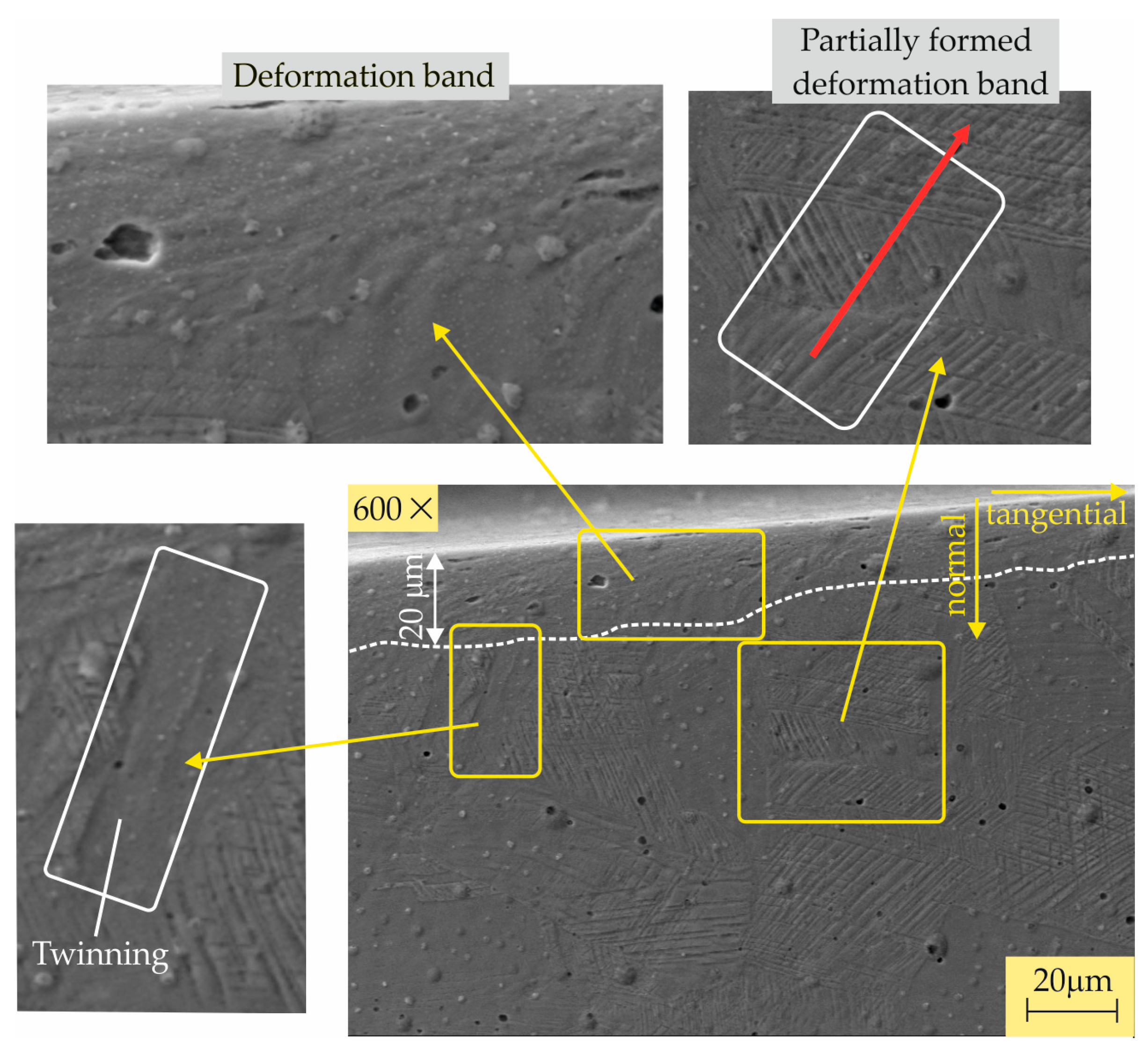 Metals 14 00710 g012