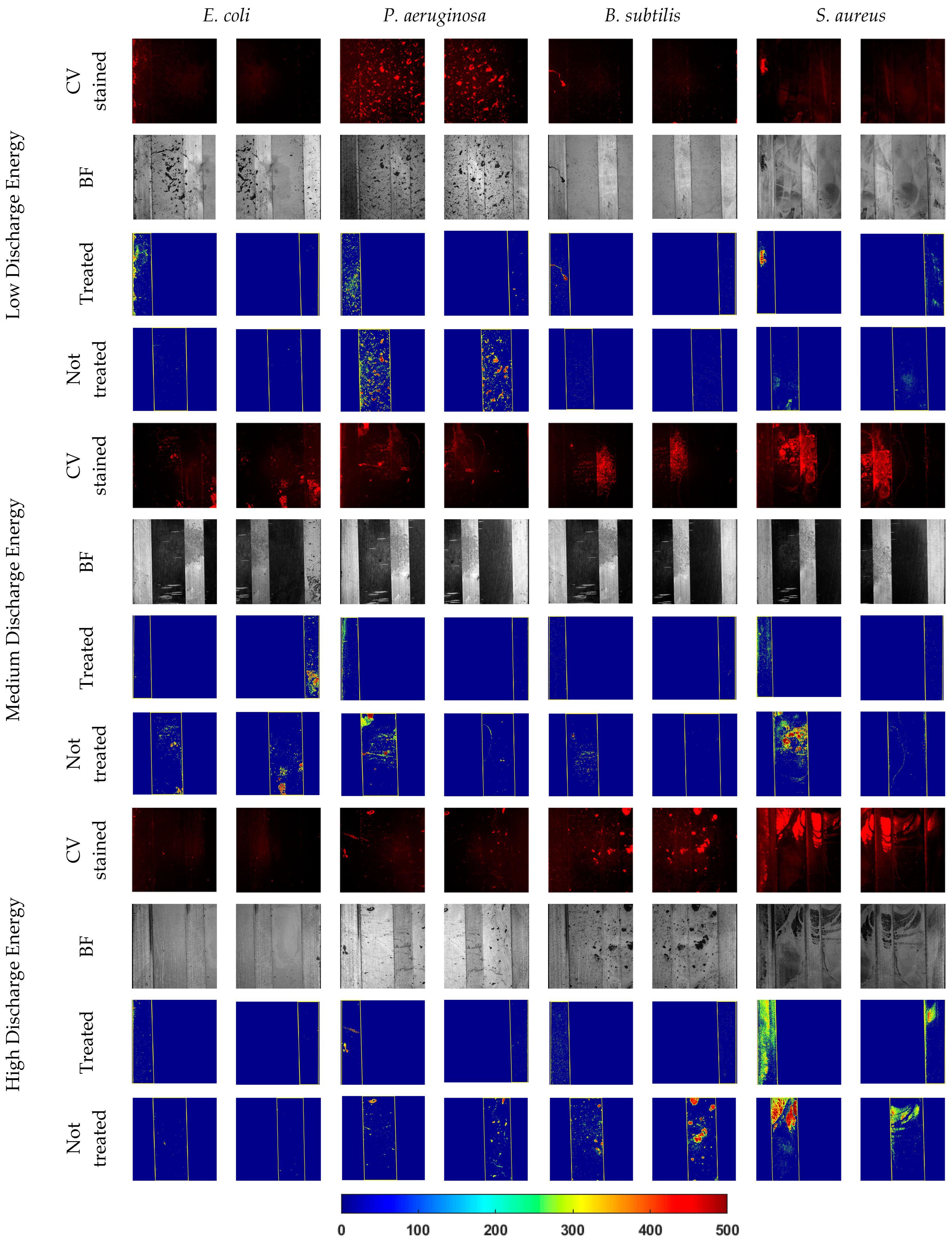 Metals 14 00714 g009