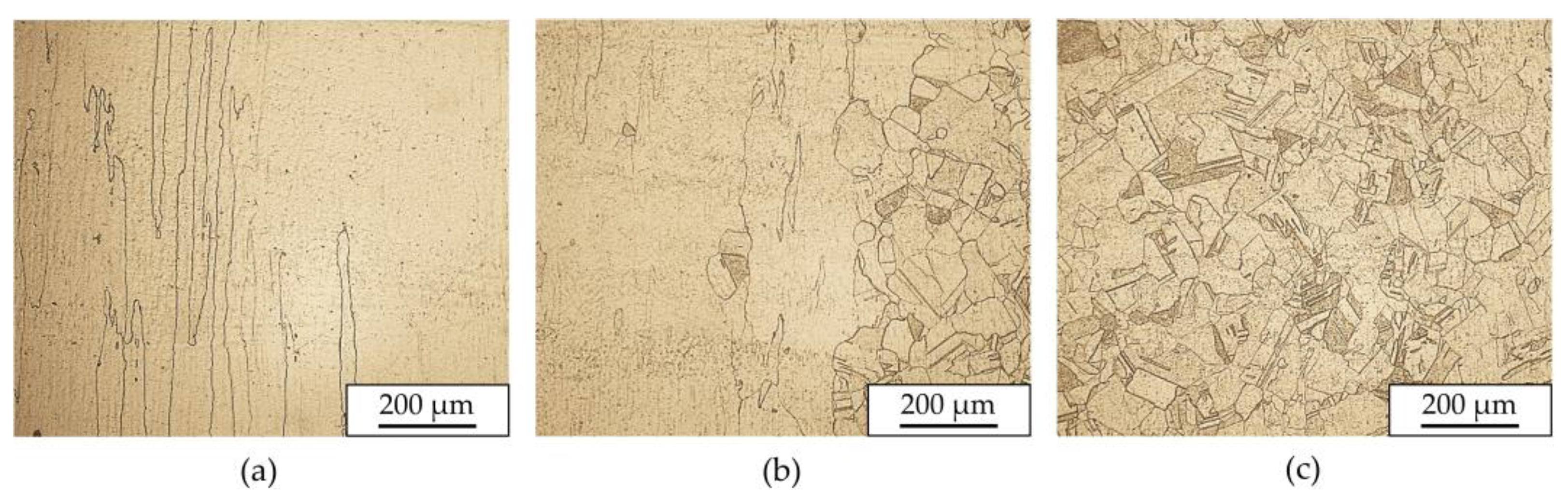 Metals 14 00716 g005