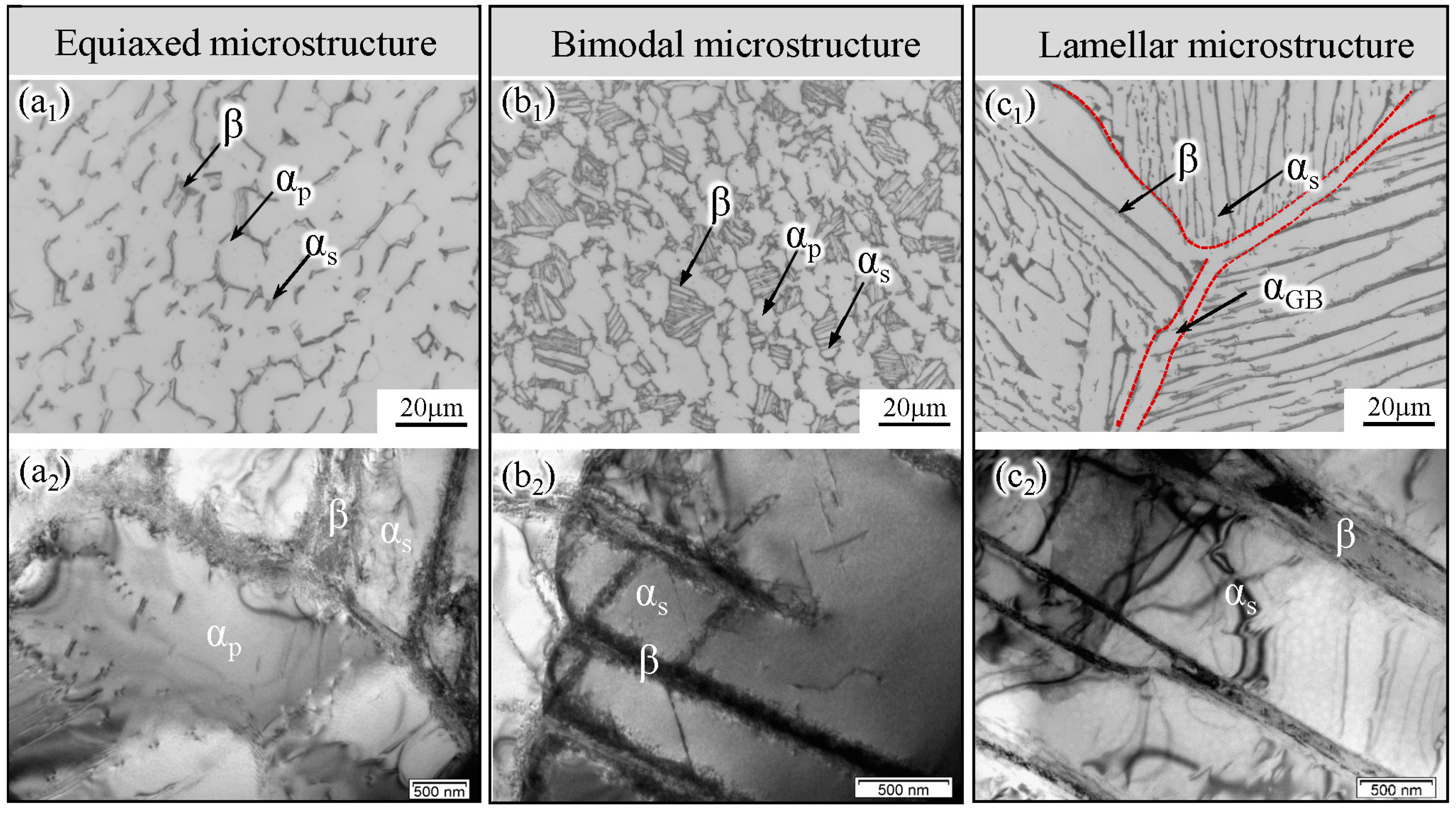 Metals 14 00722 g004