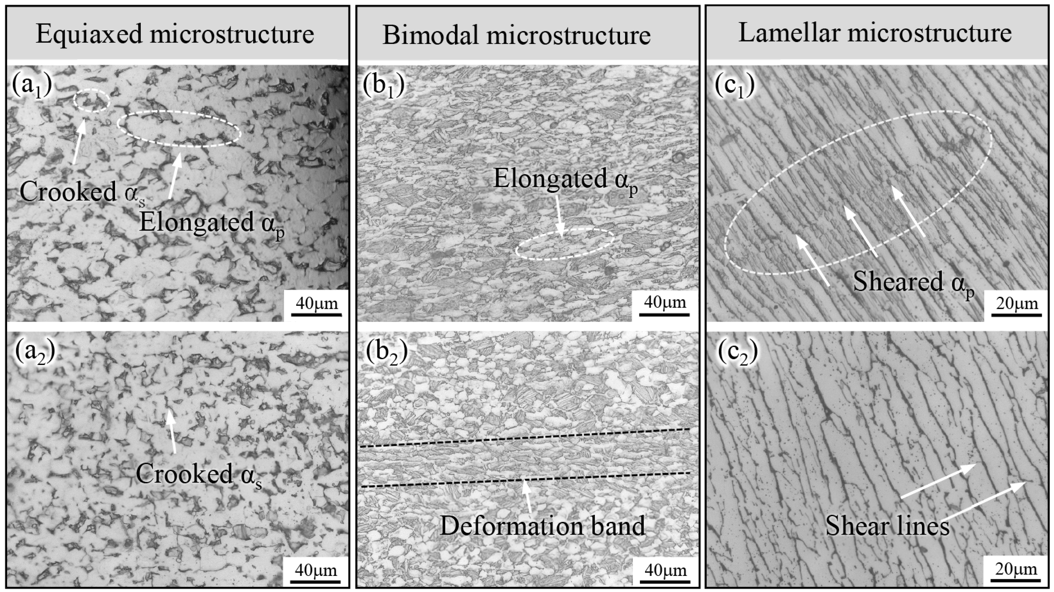 Metals 14 00722 g005