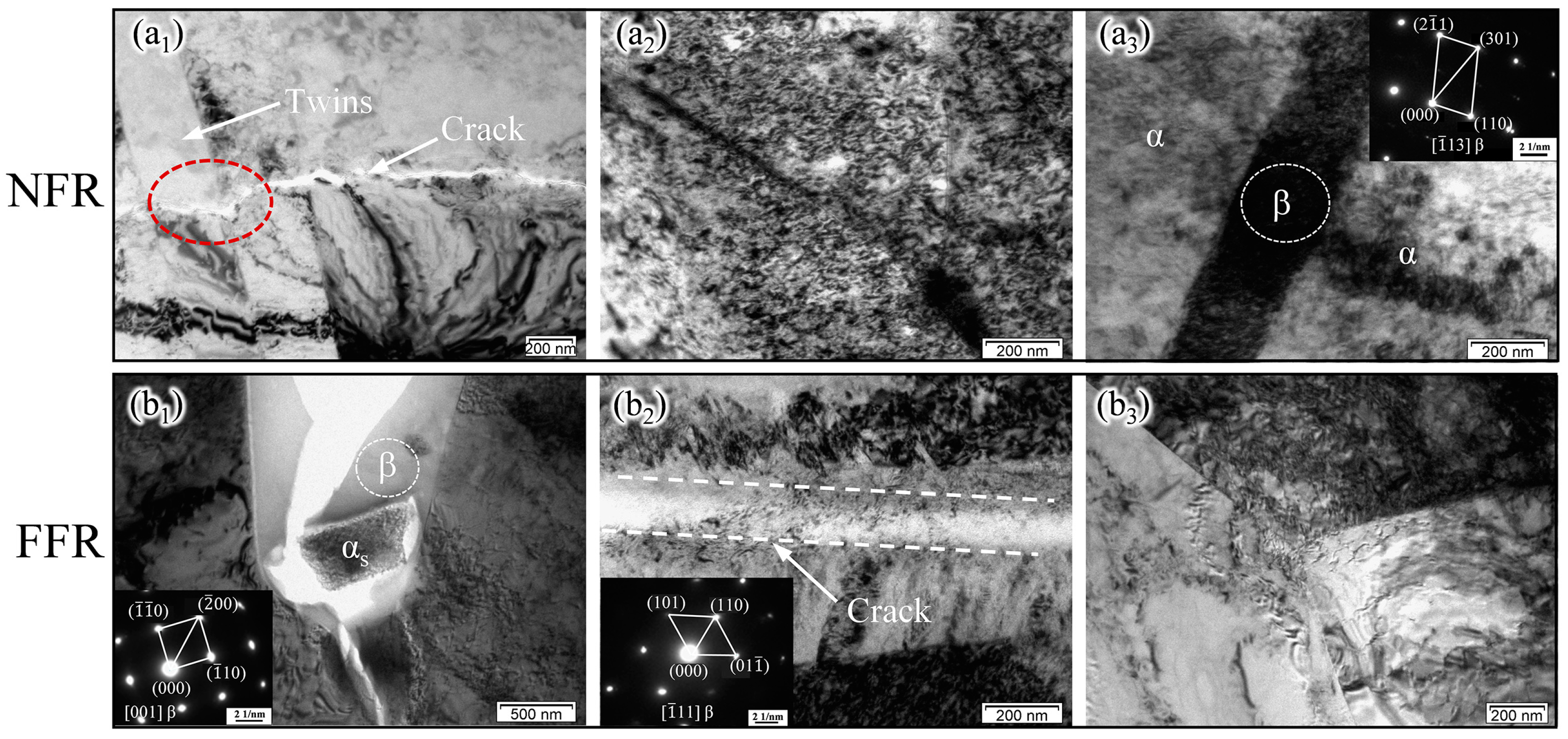 Metals 14 00722 g006