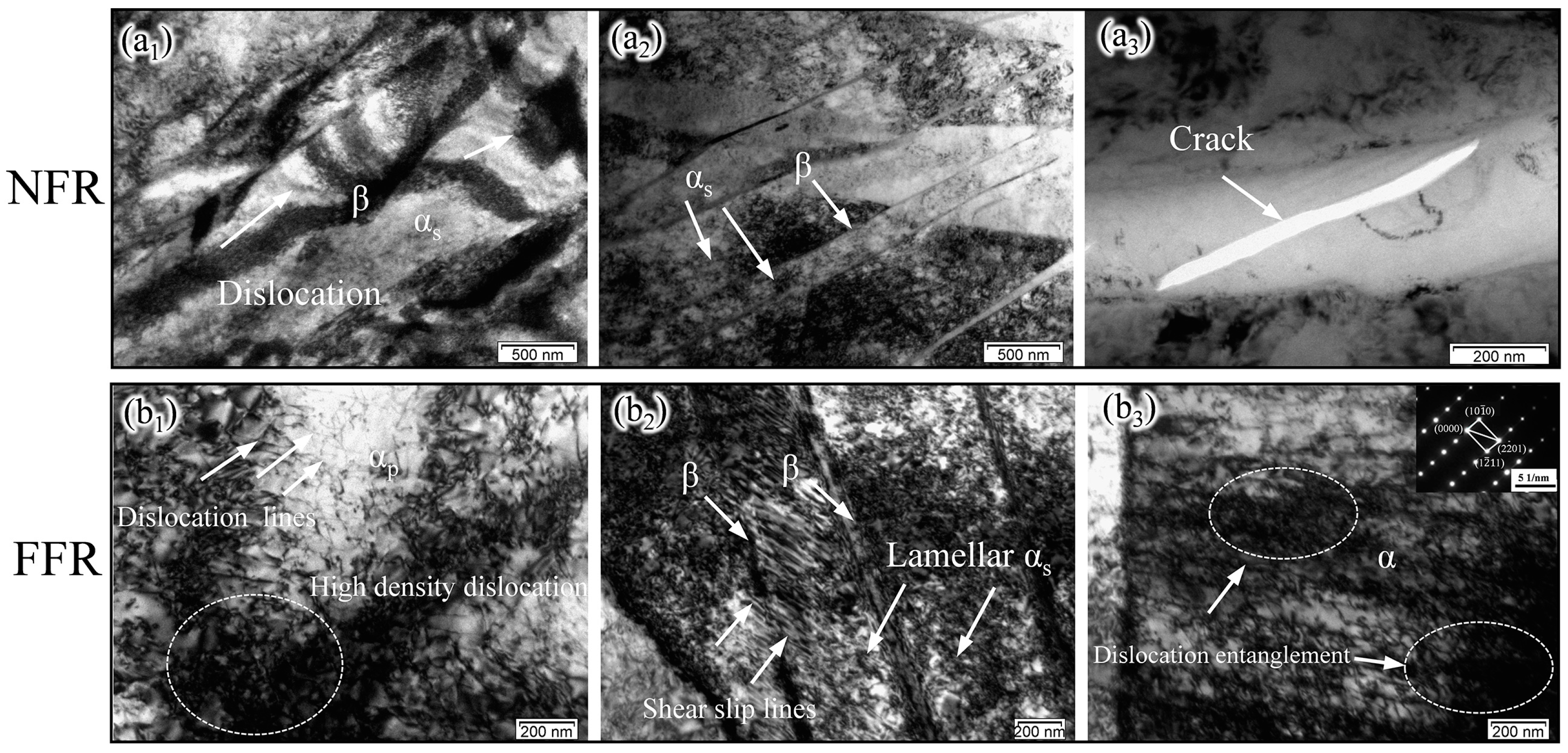 Metals 14 00722 g007