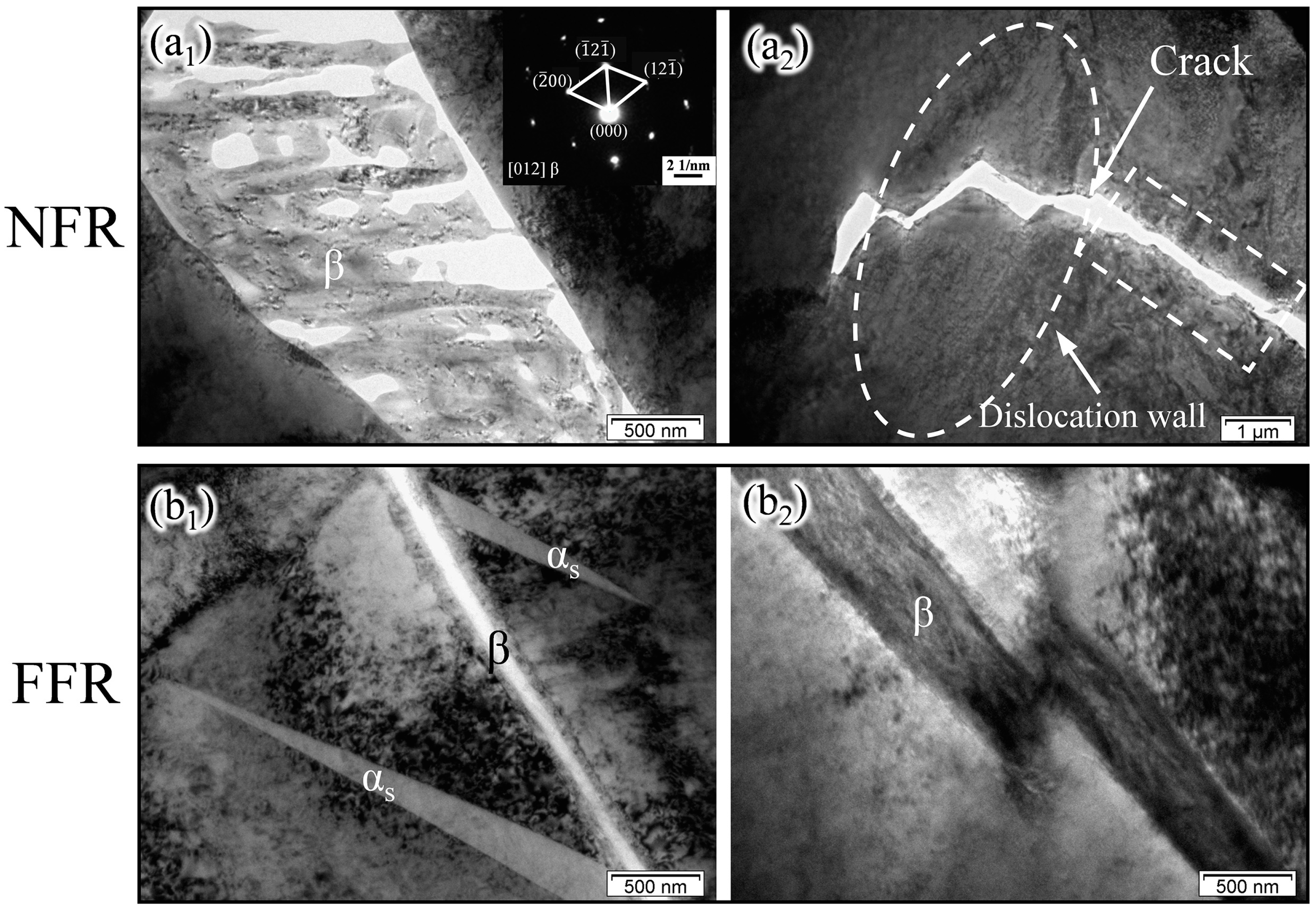 Metals 14 00722 g008